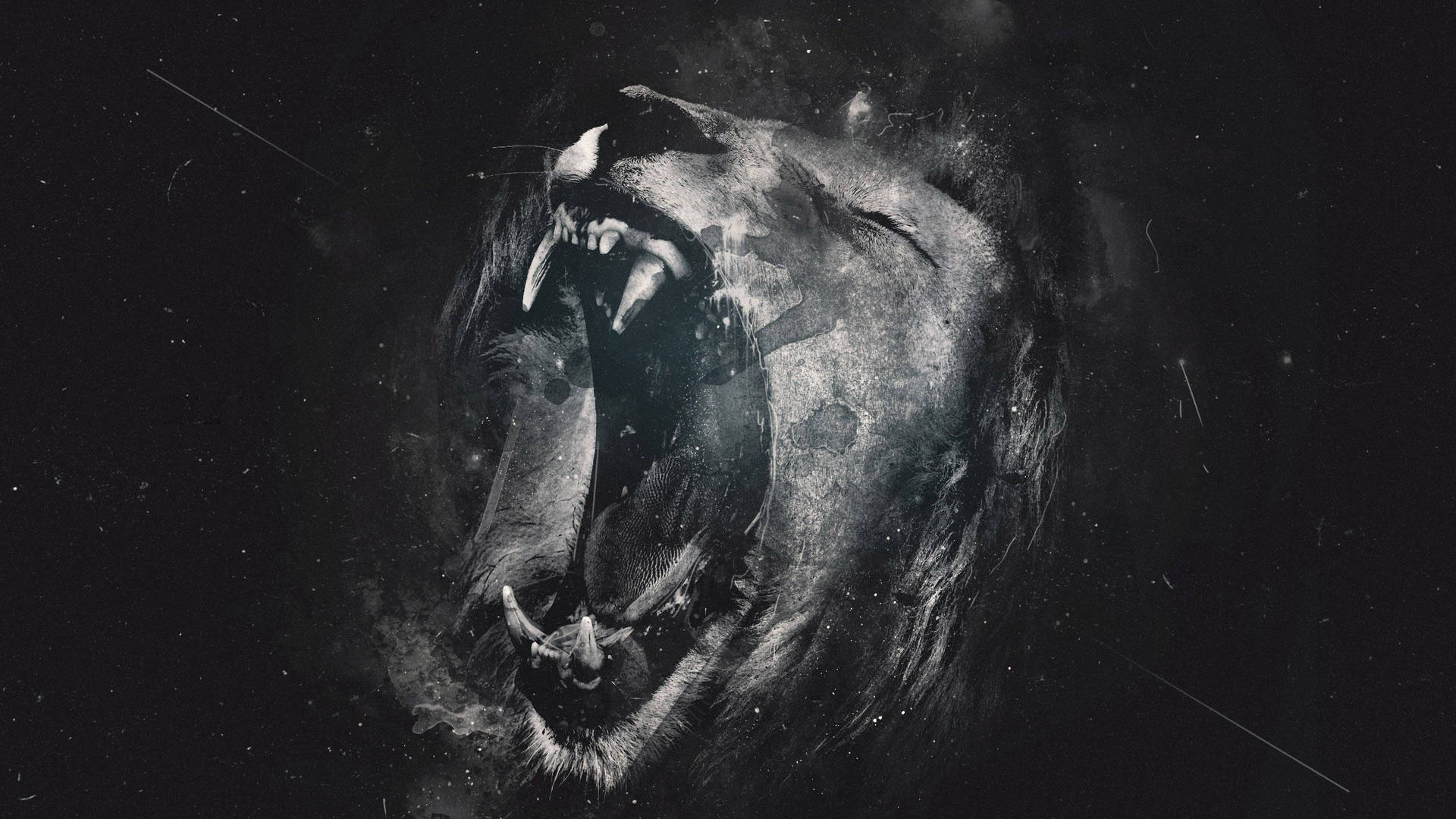 Blank And White Roaring Lion Background