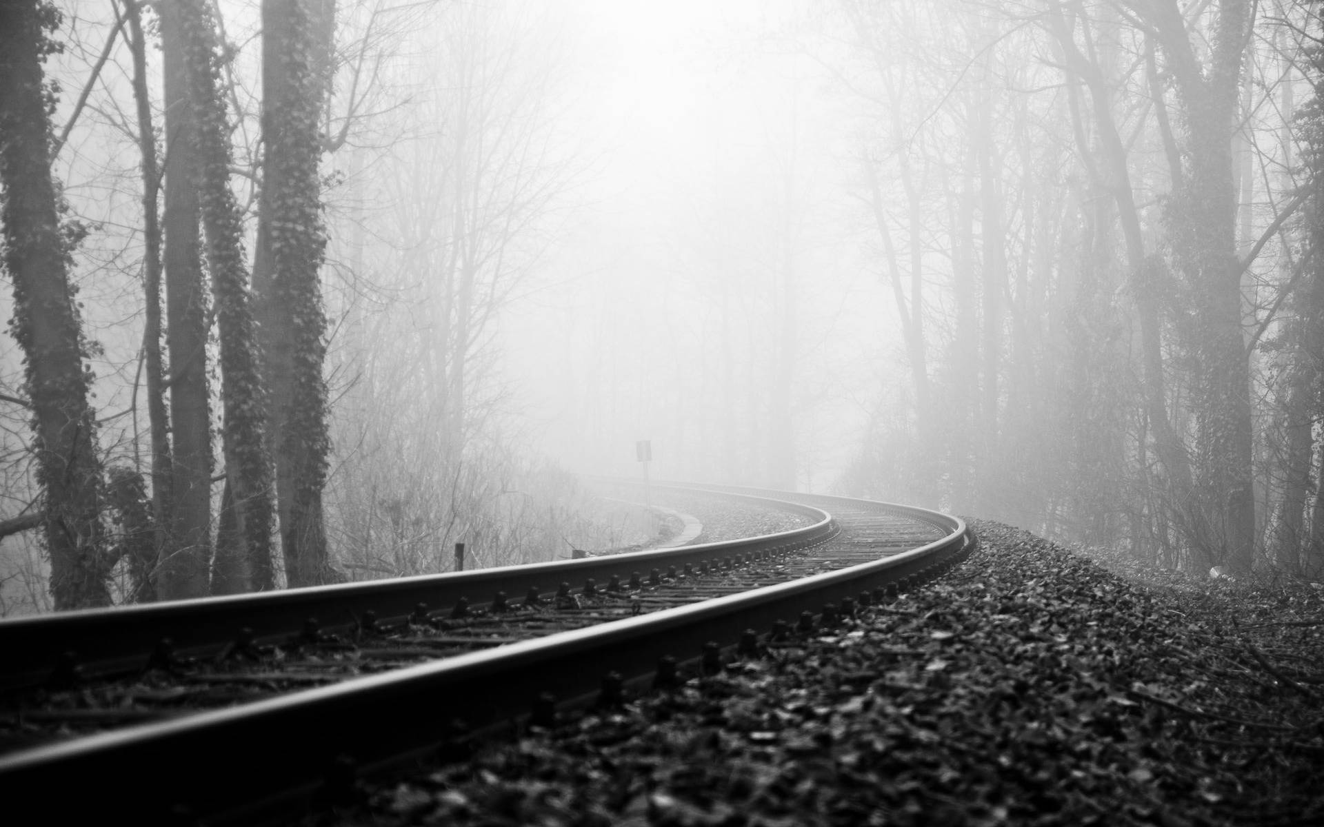 Blank And White Train Tracks In Foggy Forest Background