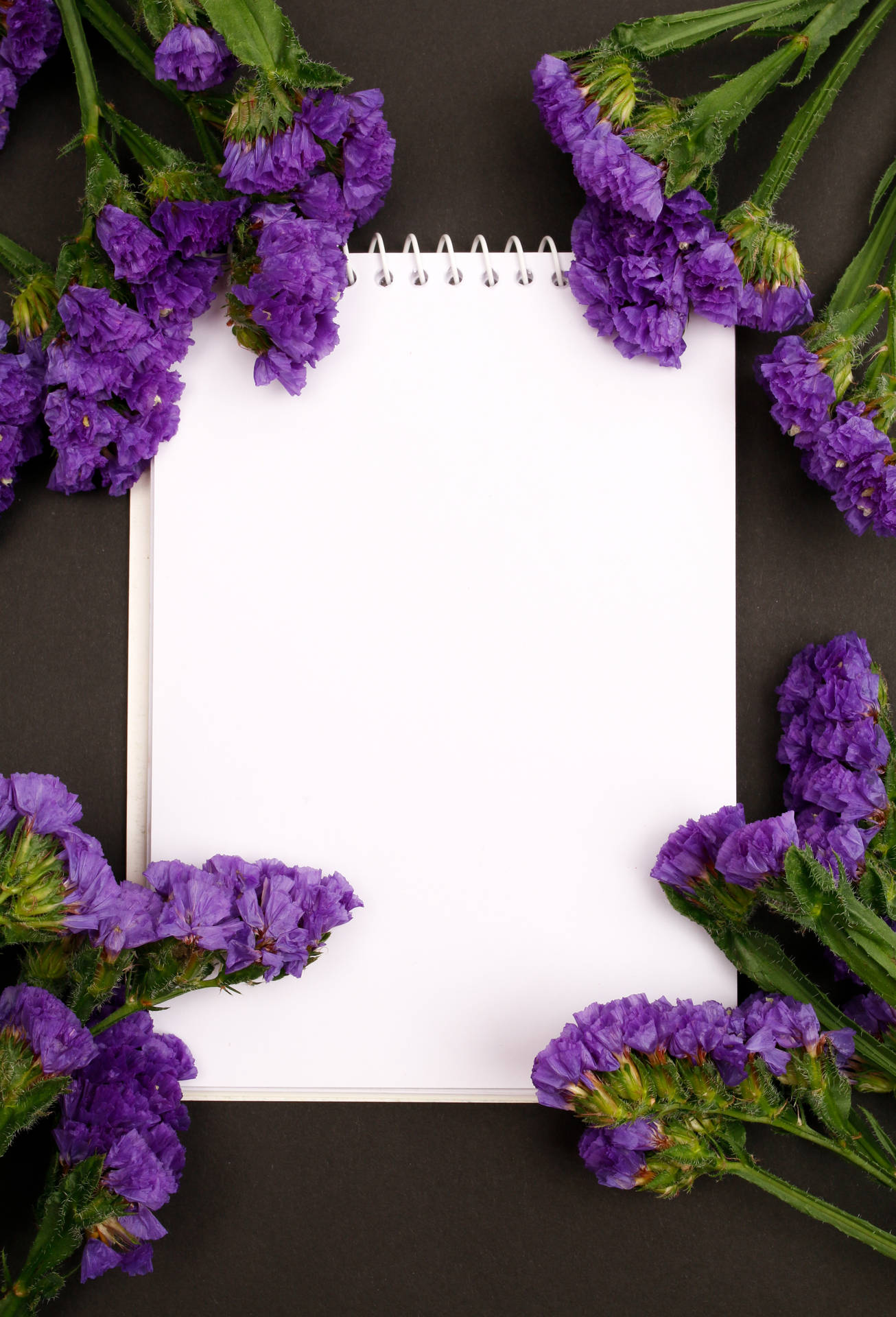 Blank Note With Sea Lavenders Background