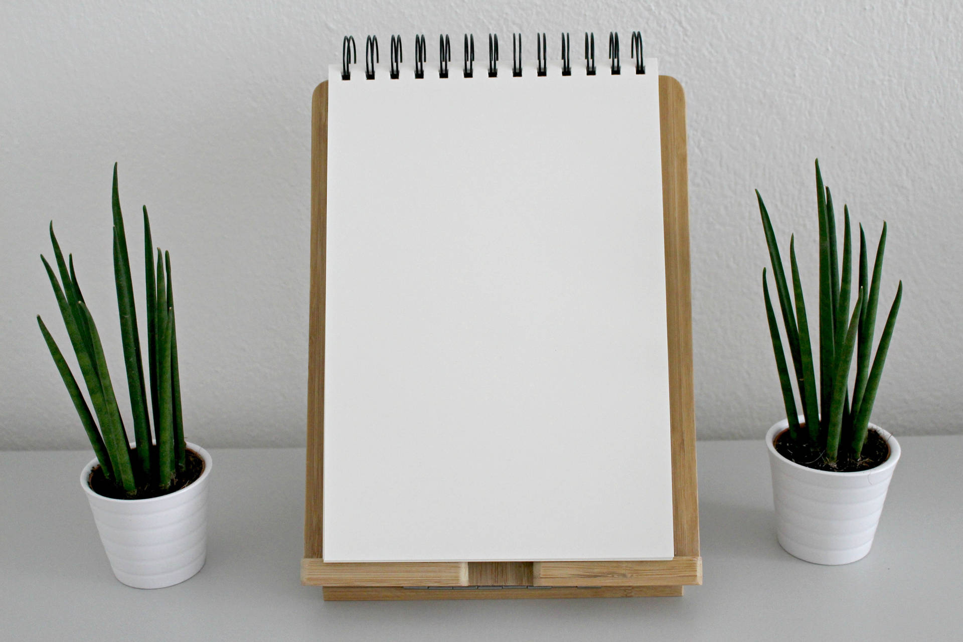 Blank Notepad With Plants Background