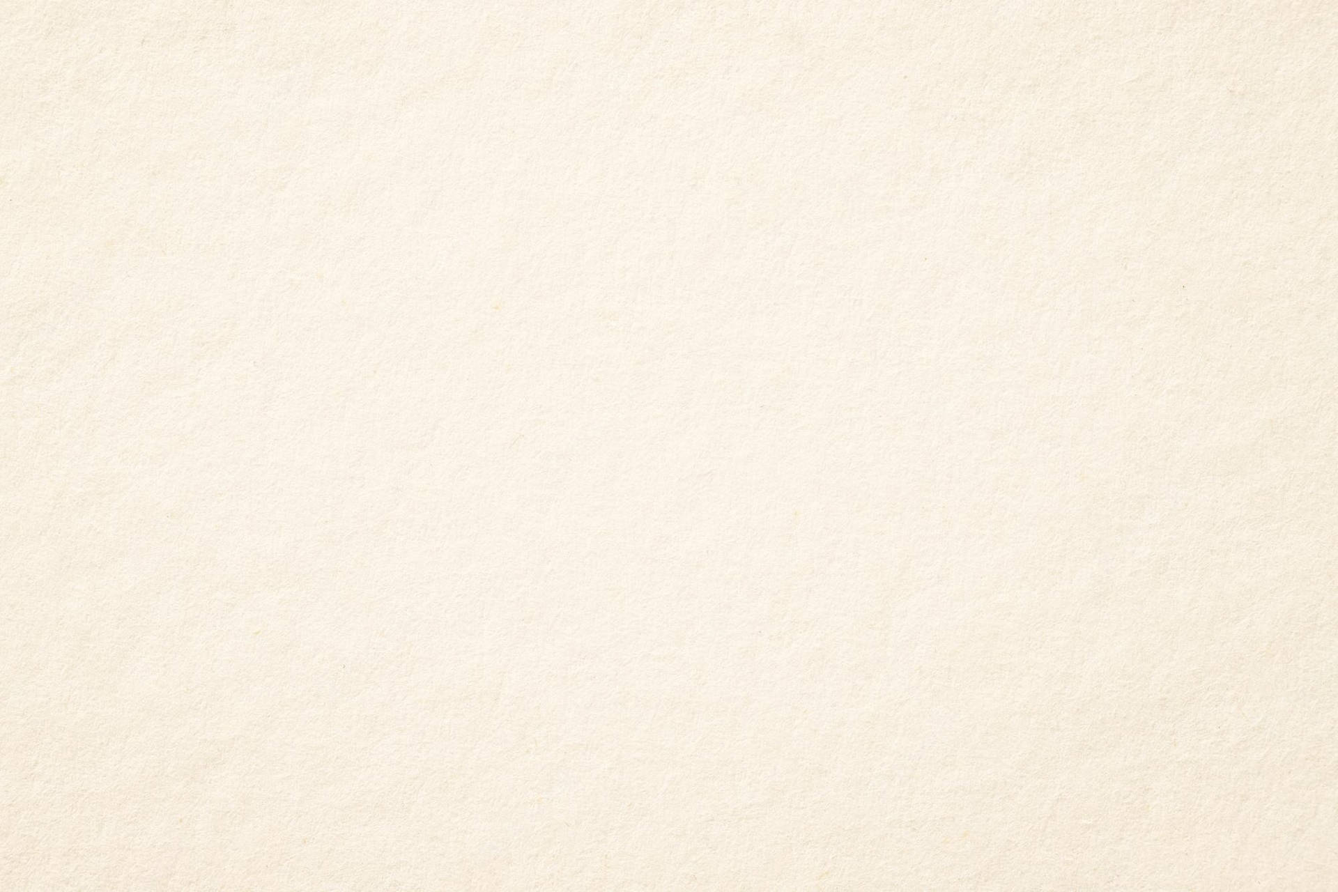 Blank Page Ivory Color Background