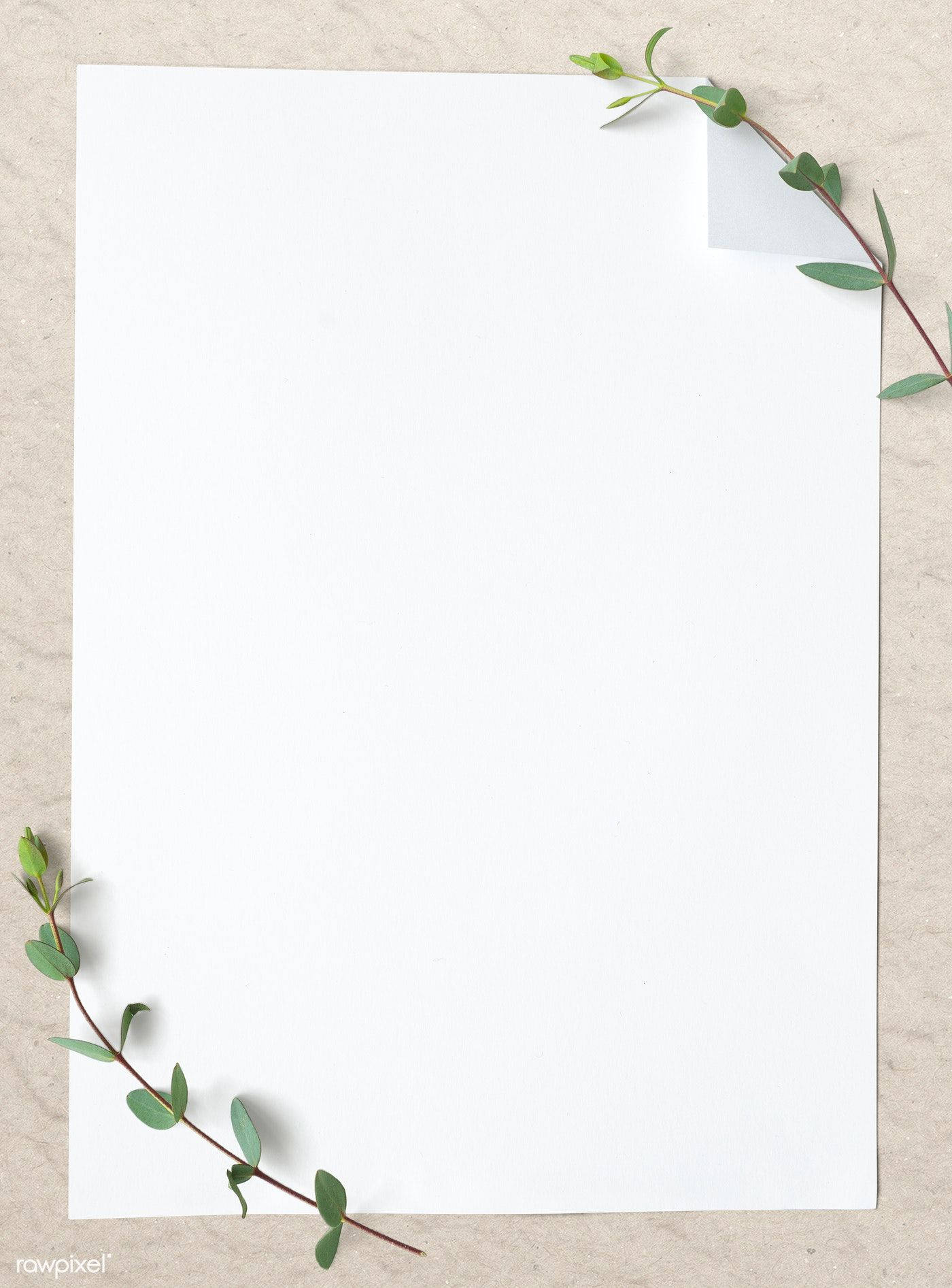 Blank Page Paper With Leaves Background