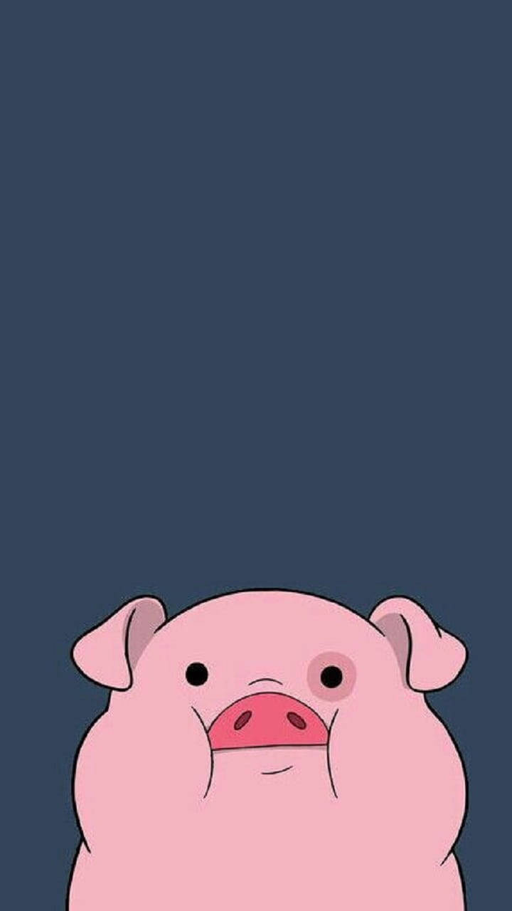 Blank Piggy Stare