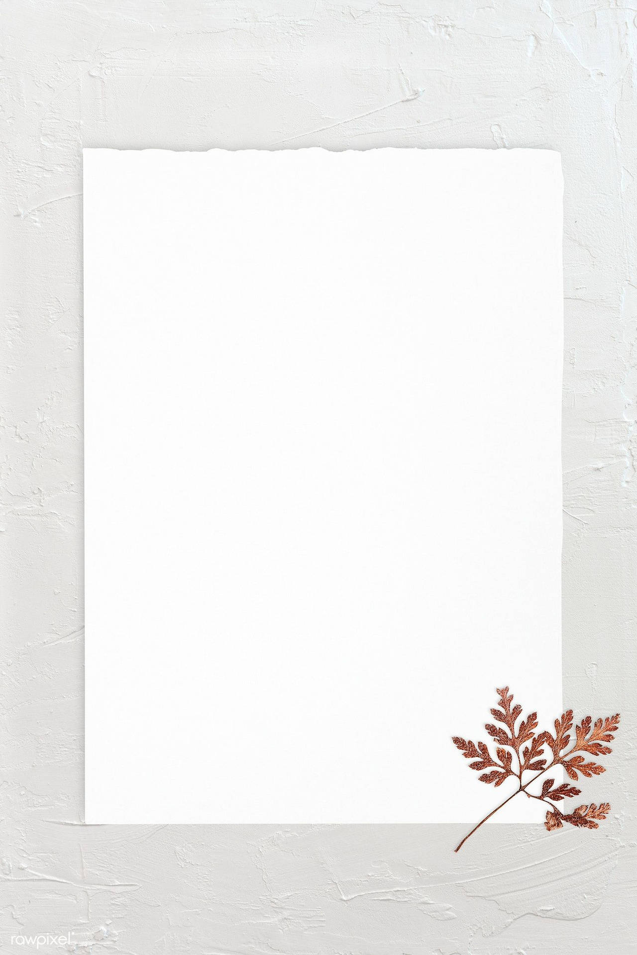 Blank White Frame With Leaf Background