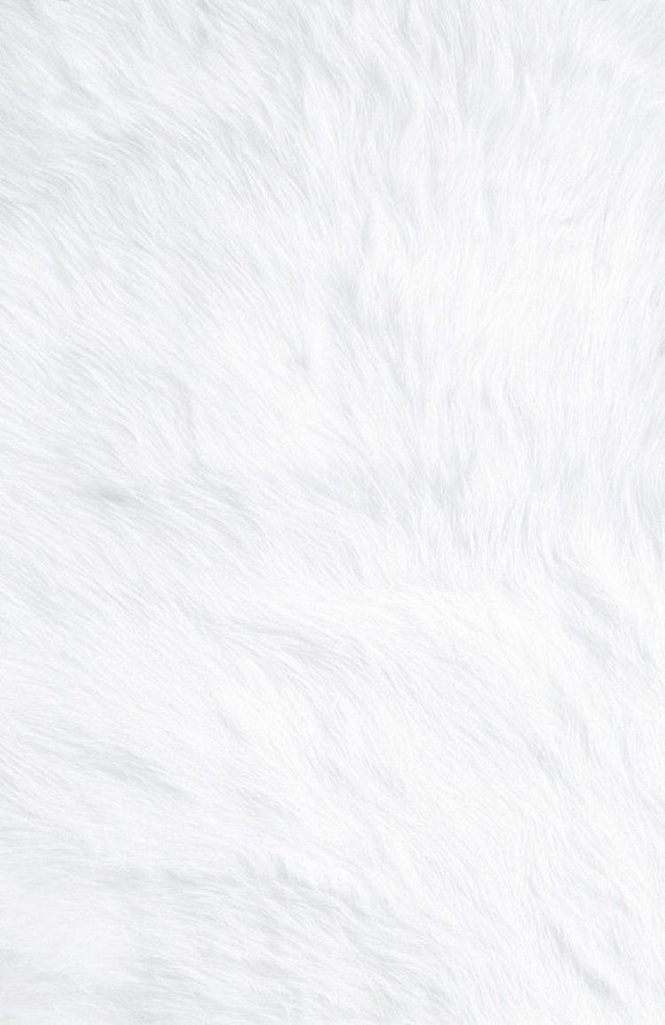 Blank White Fur Texture Background