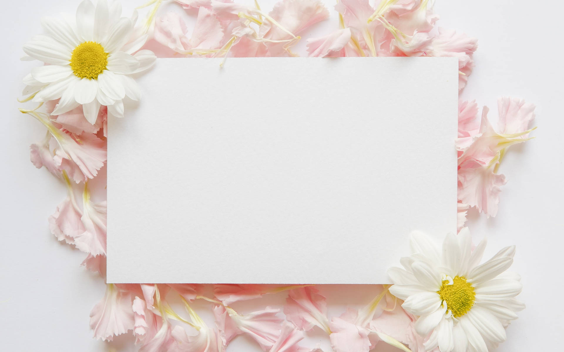 Blank White Paper Floral Aesthetic Background