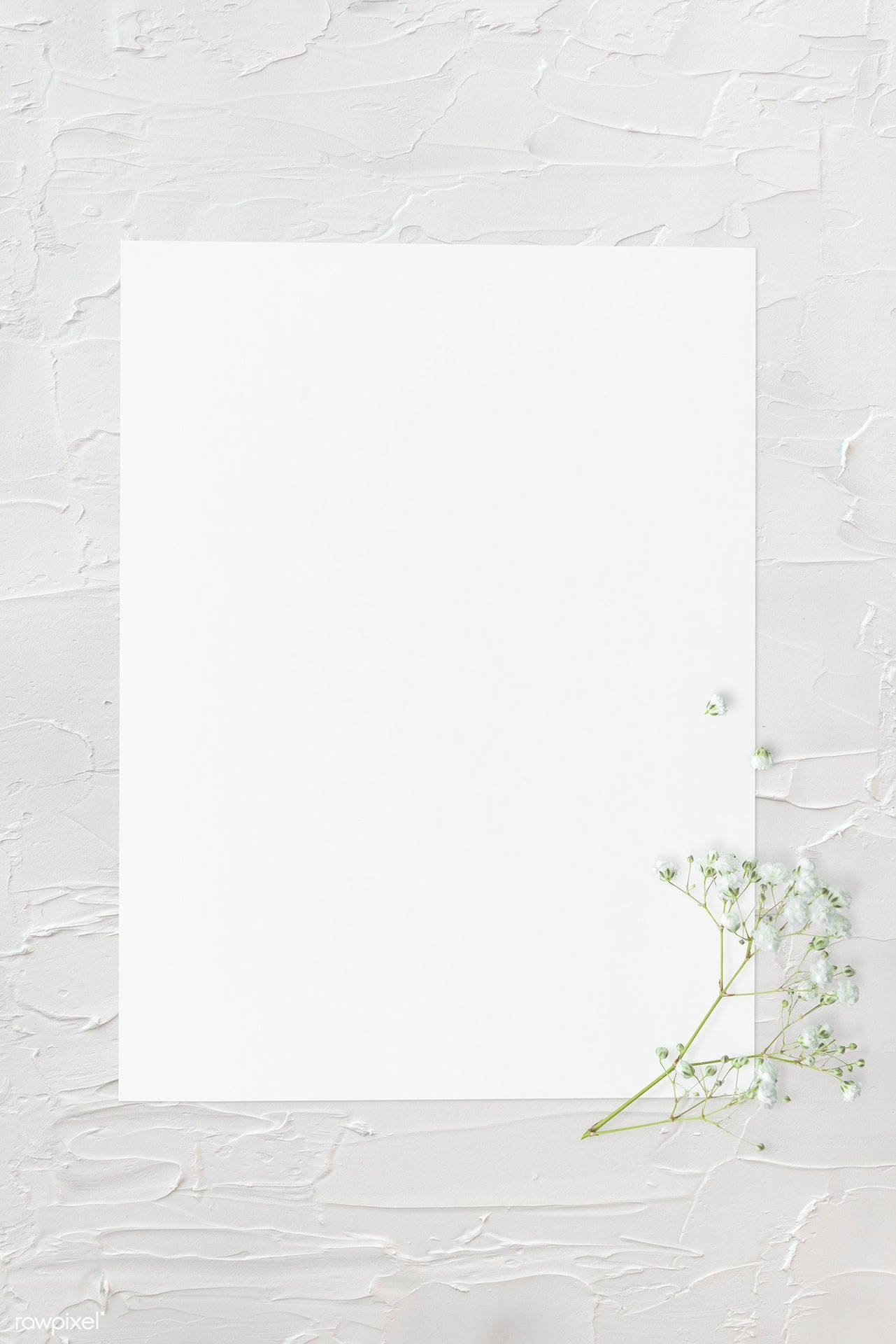 Blank White With Frame And White Flowers Background