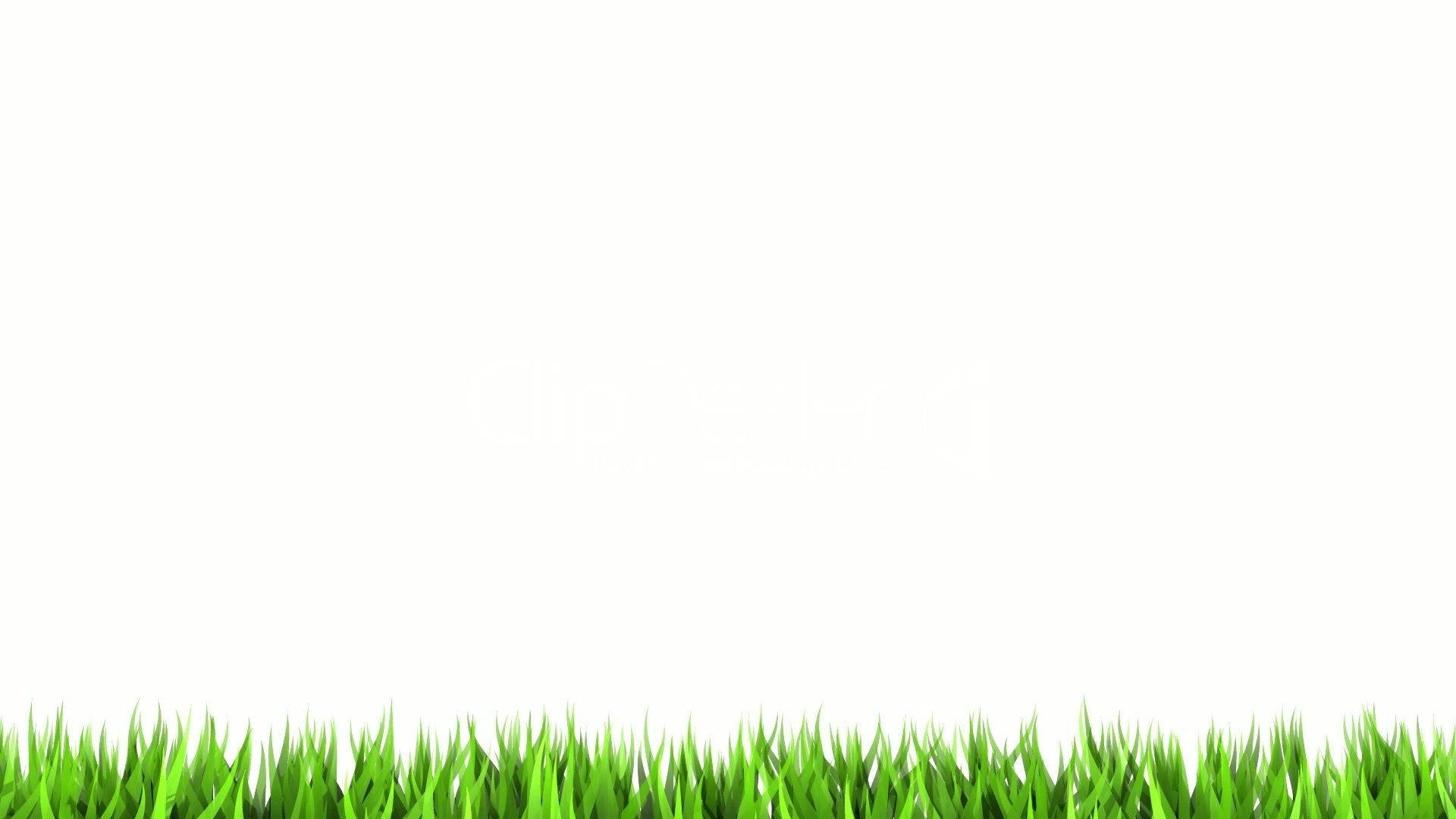 Blank White With Grass Background