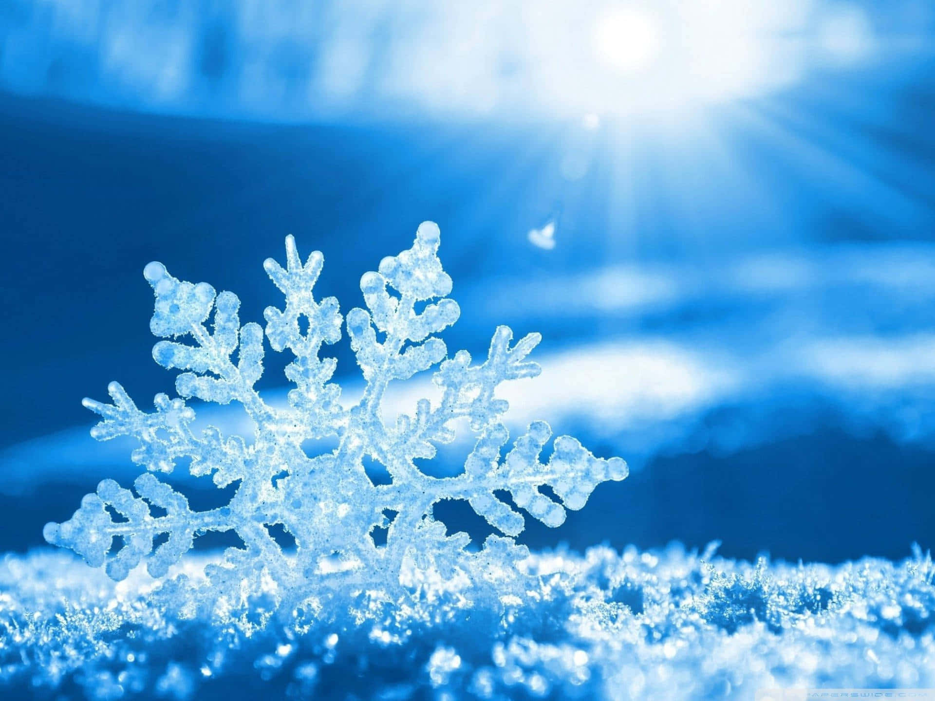 Blanket Of White Snow On Winter Morning Background