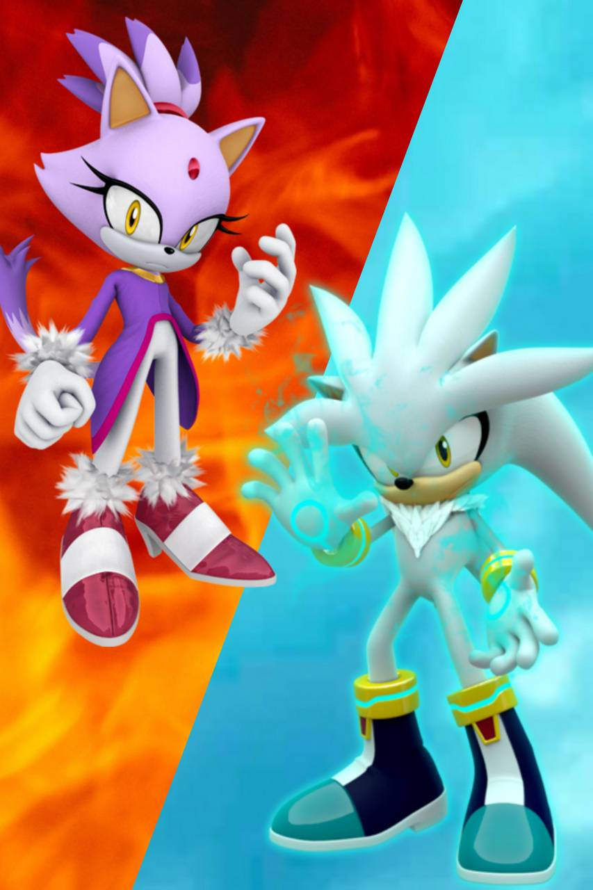 Blaze The Cat And Silver