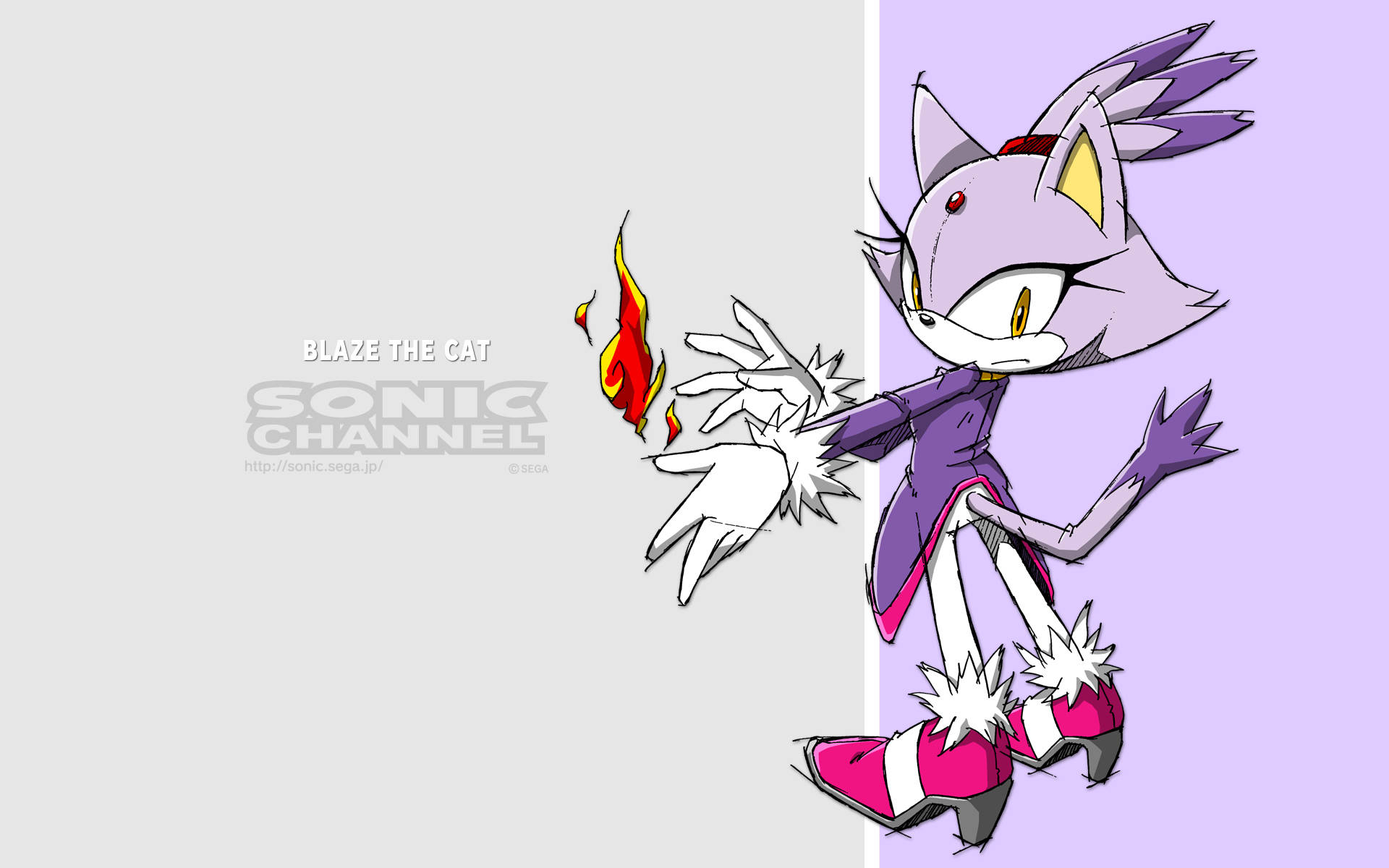 Blaze The Cat Gray And Purple Background
