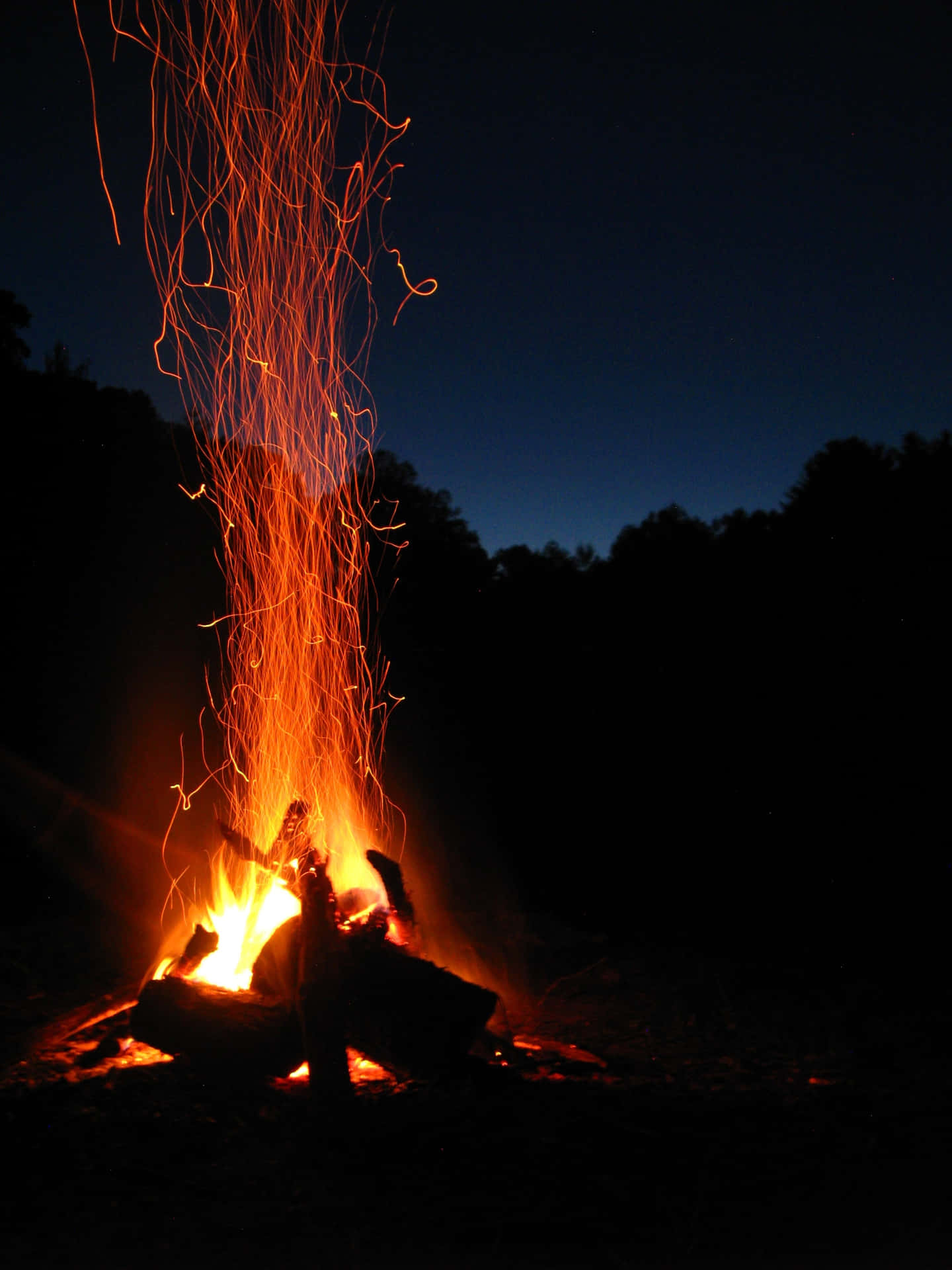 Blazing Campfire In The Dark Night