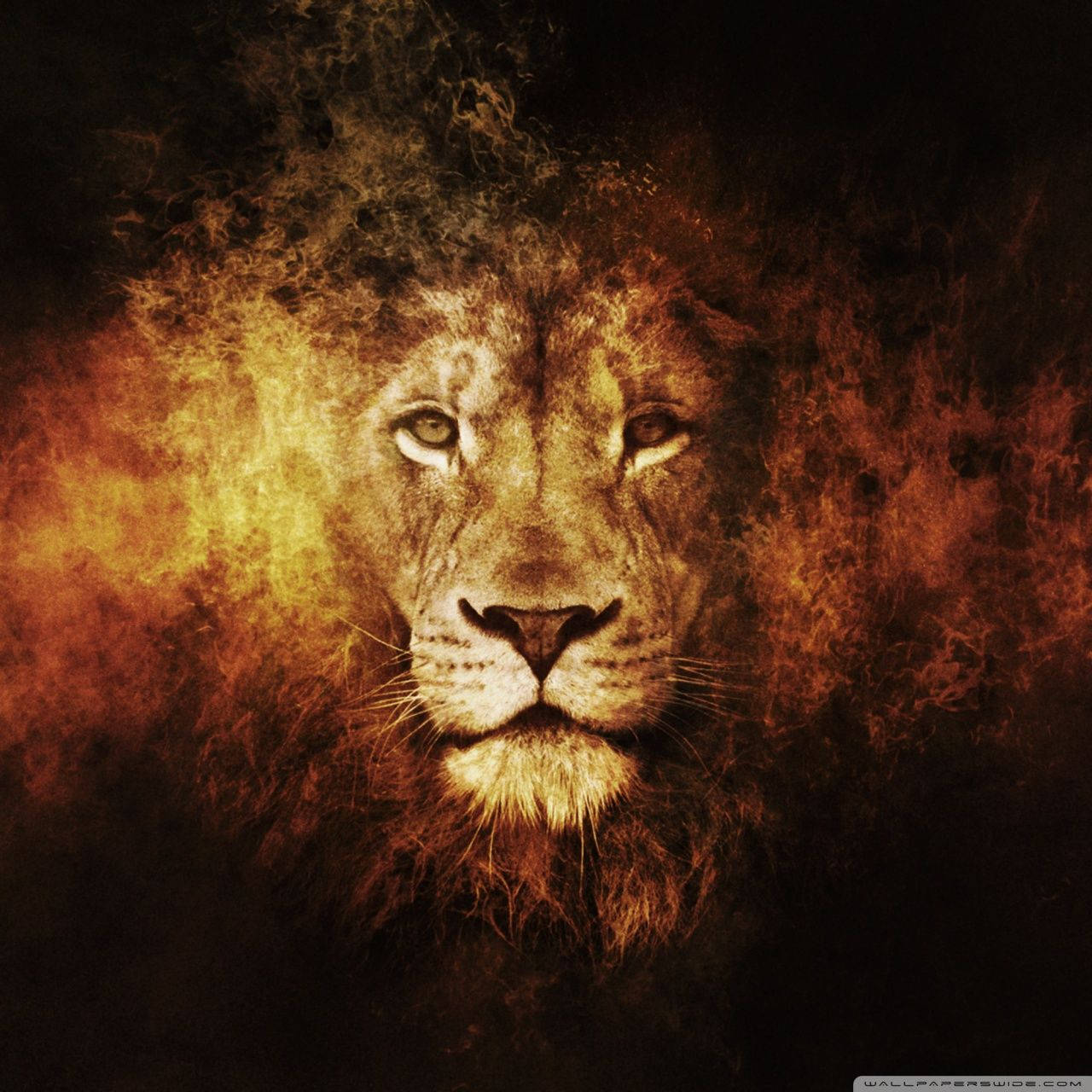 Blazing Lion Background