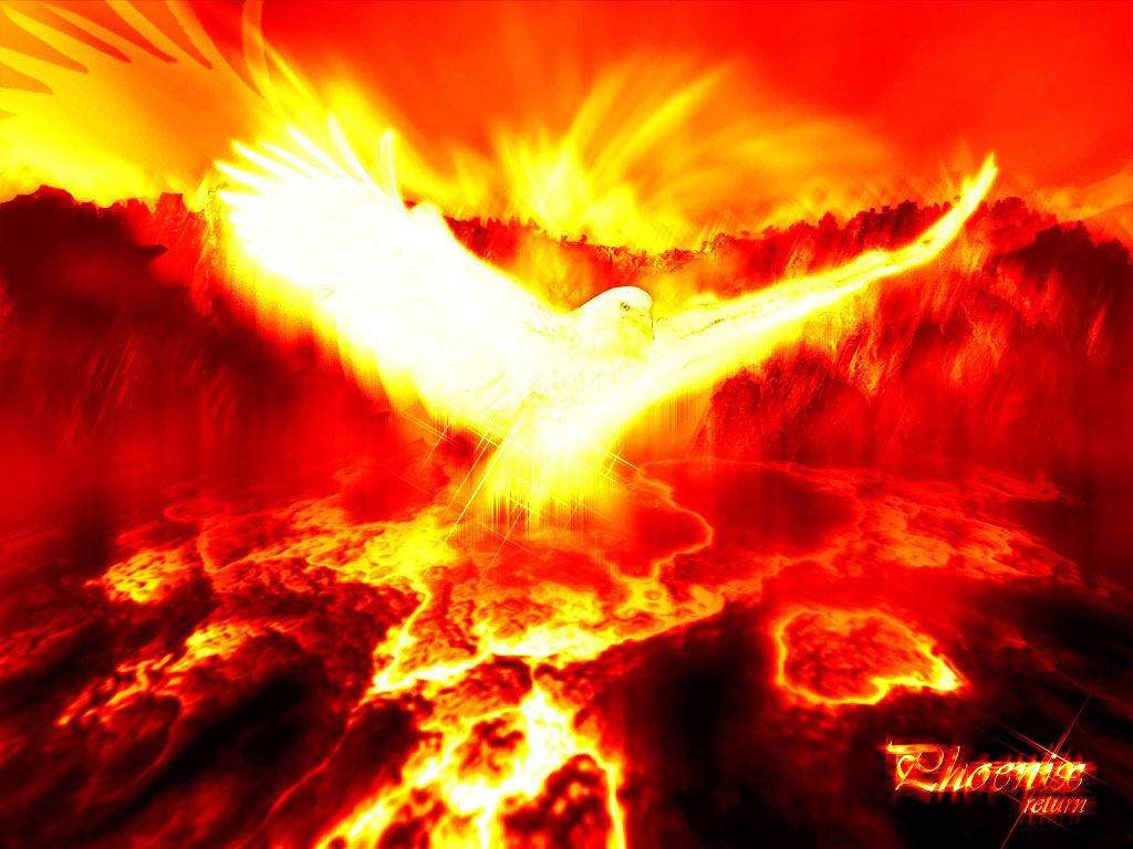 Blazing Phoenix Myth Bird Background