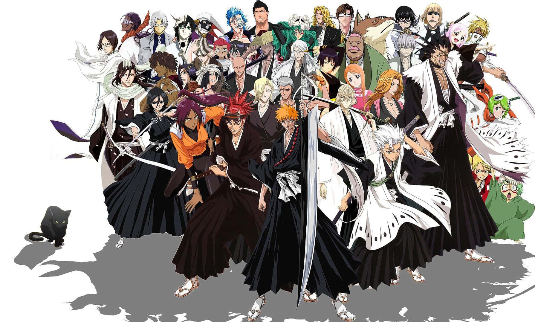 Bleach Anime All Characters Hd