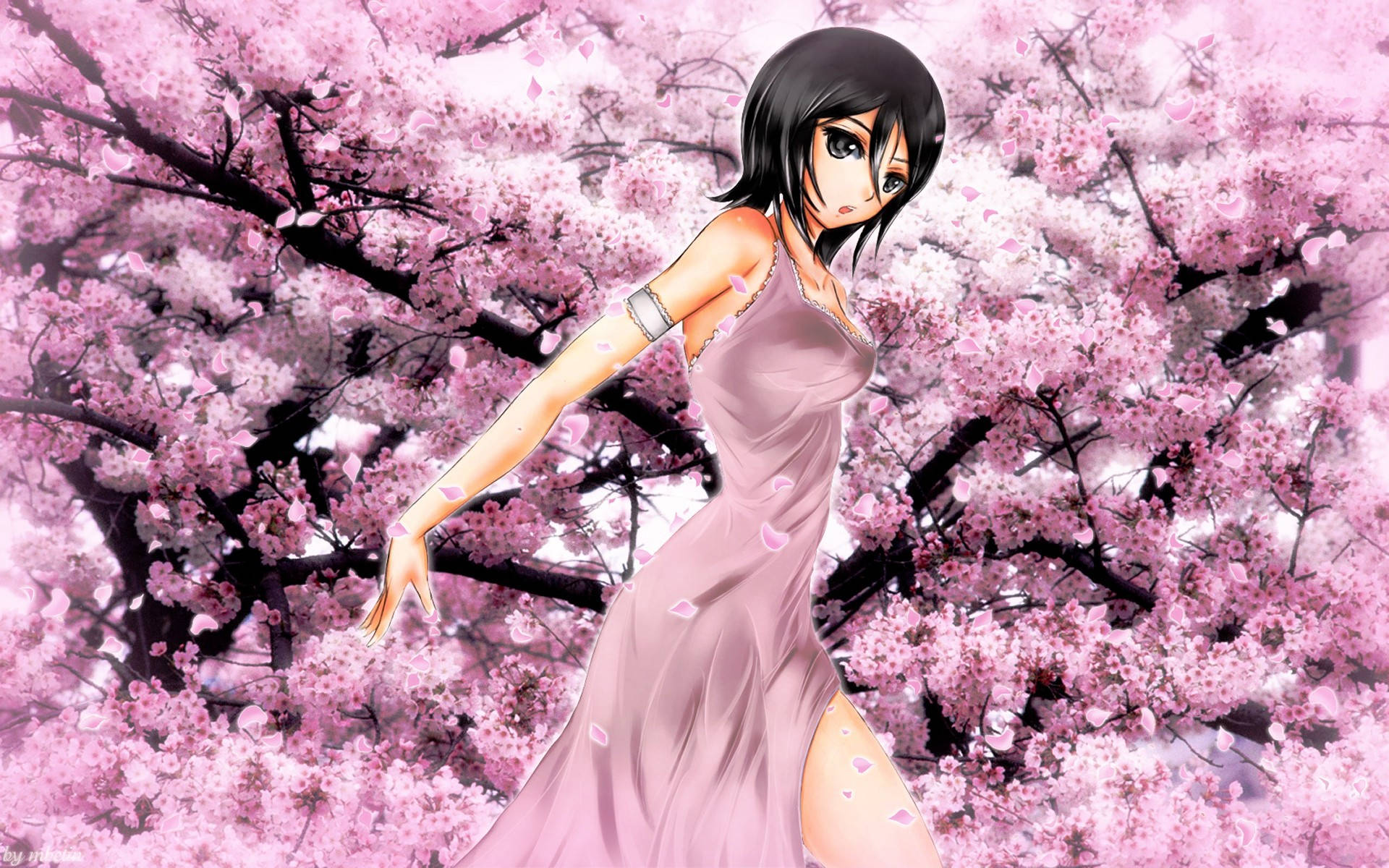 Bleach Anime Rukia Cherry Blossom Background
