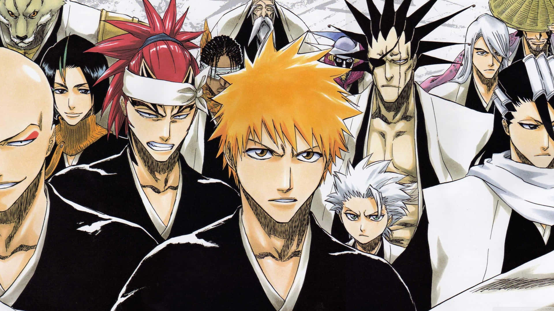 Bleach Characters' Faces Pc