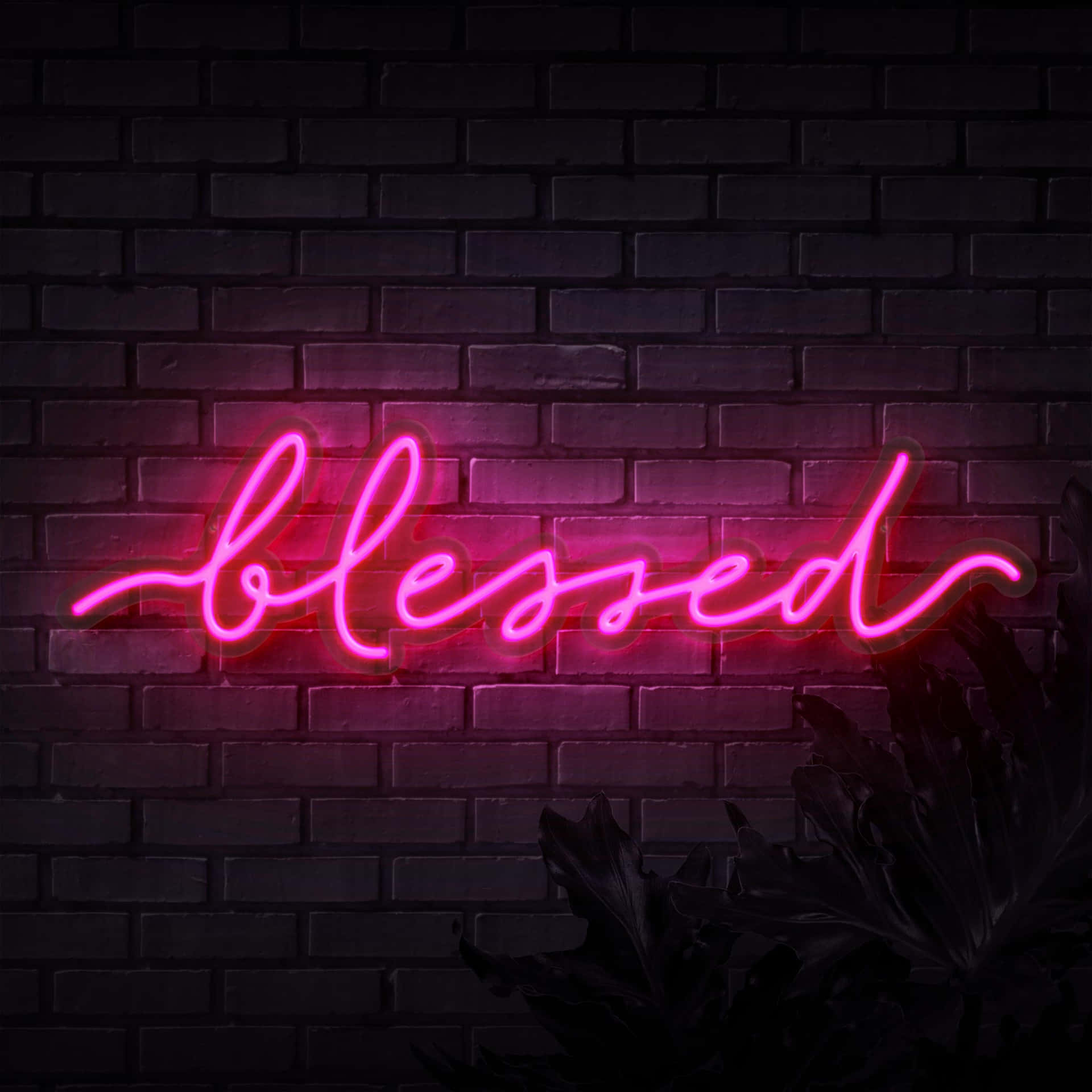 Blessed In Neon Lights Background