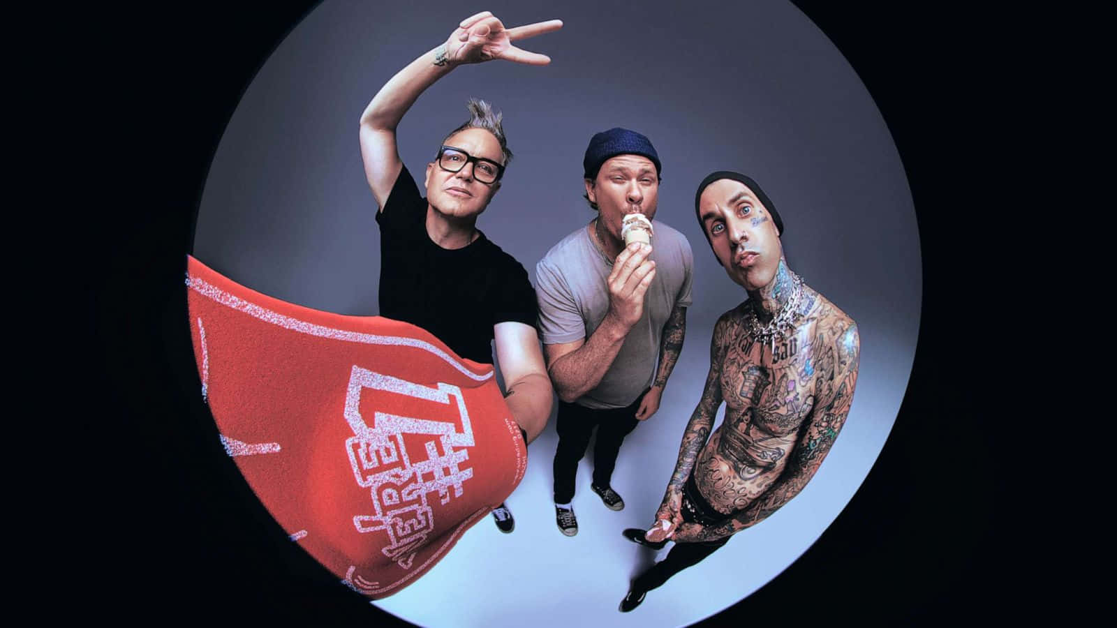 Blink182 Fisheye Portrait Background