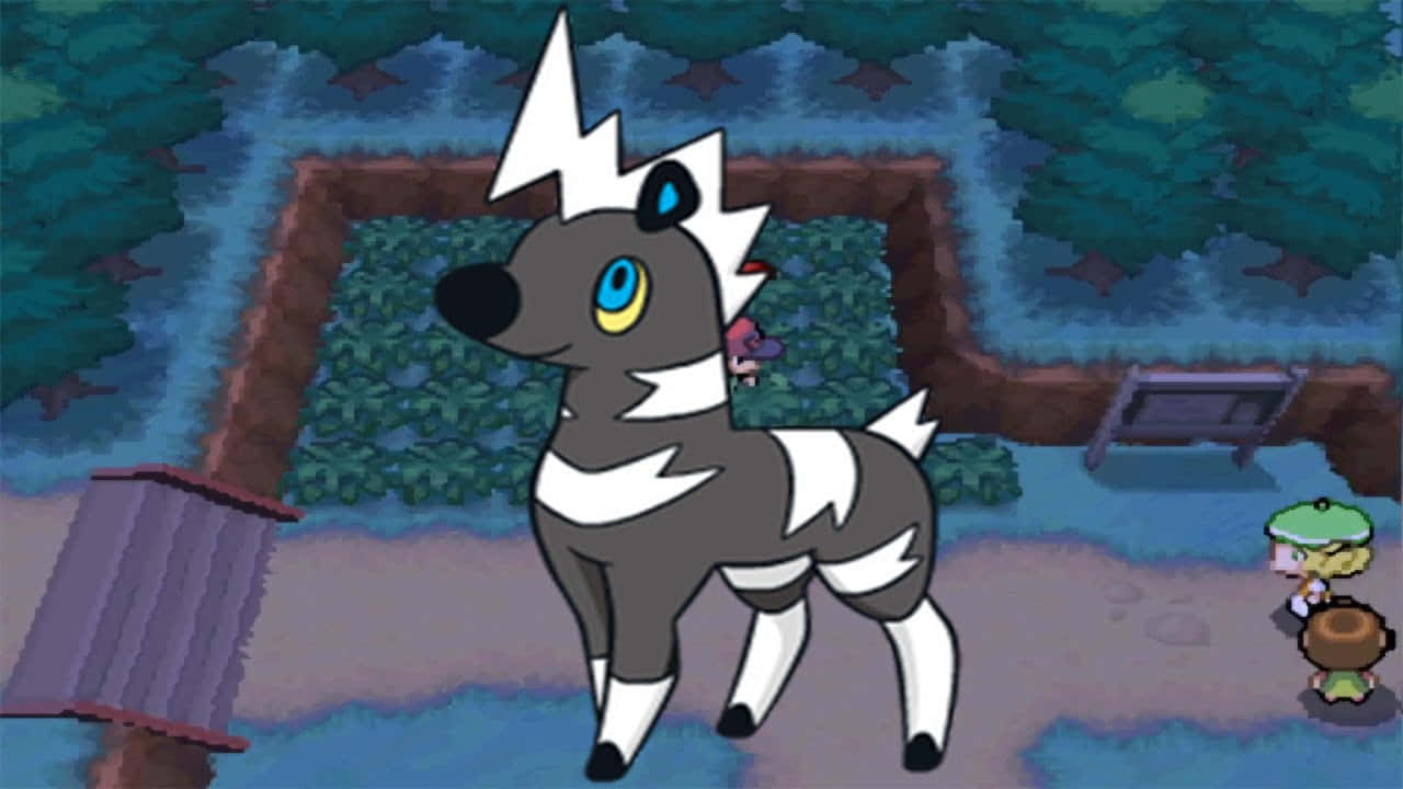 Blitzle With Pokemon Map Area