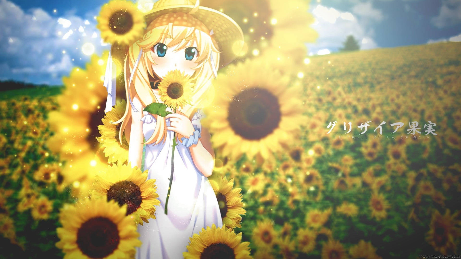 Blonde Sunflower Laptop Background