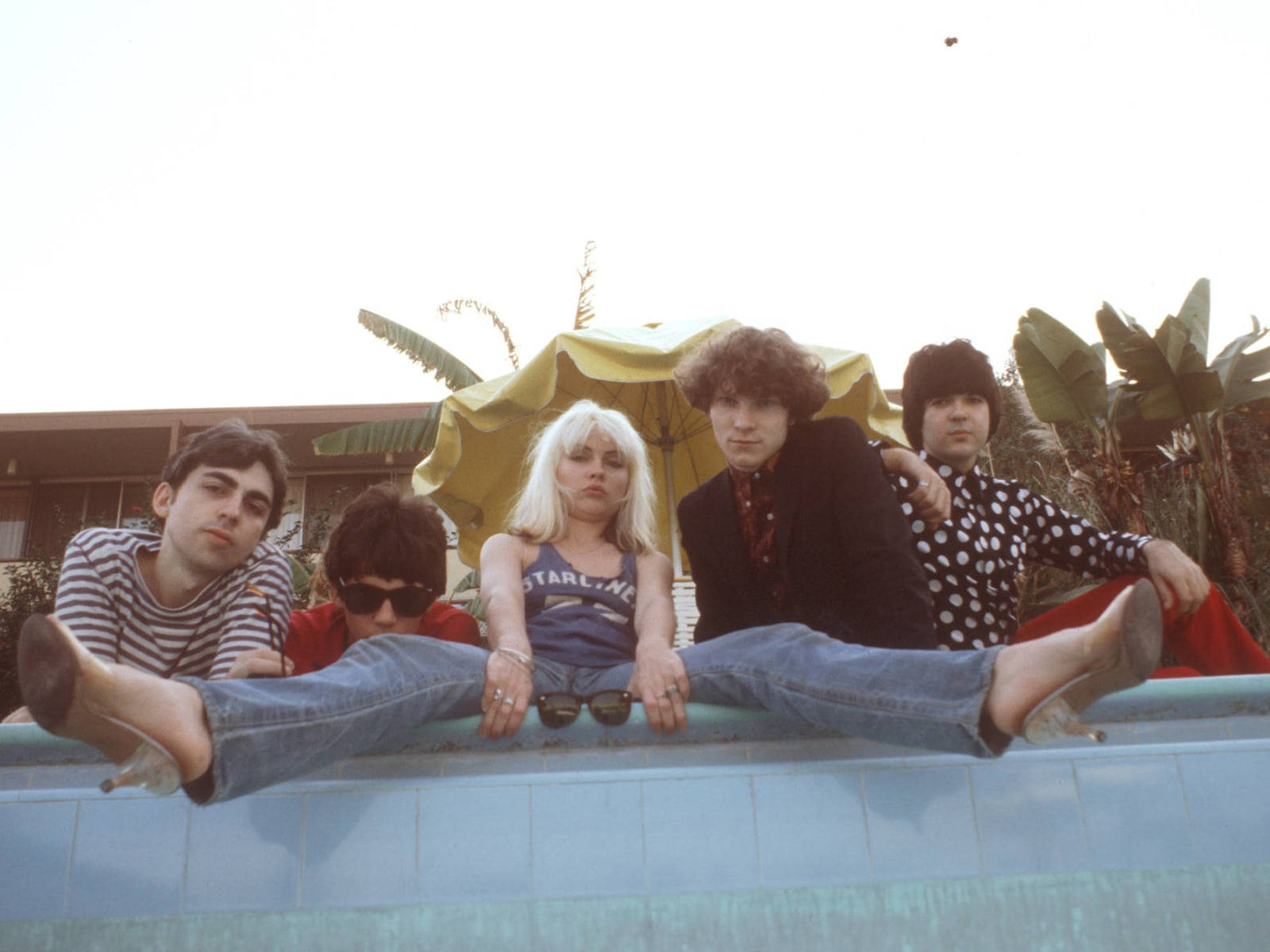 Blondie American Rock Band Vintage Photo Background