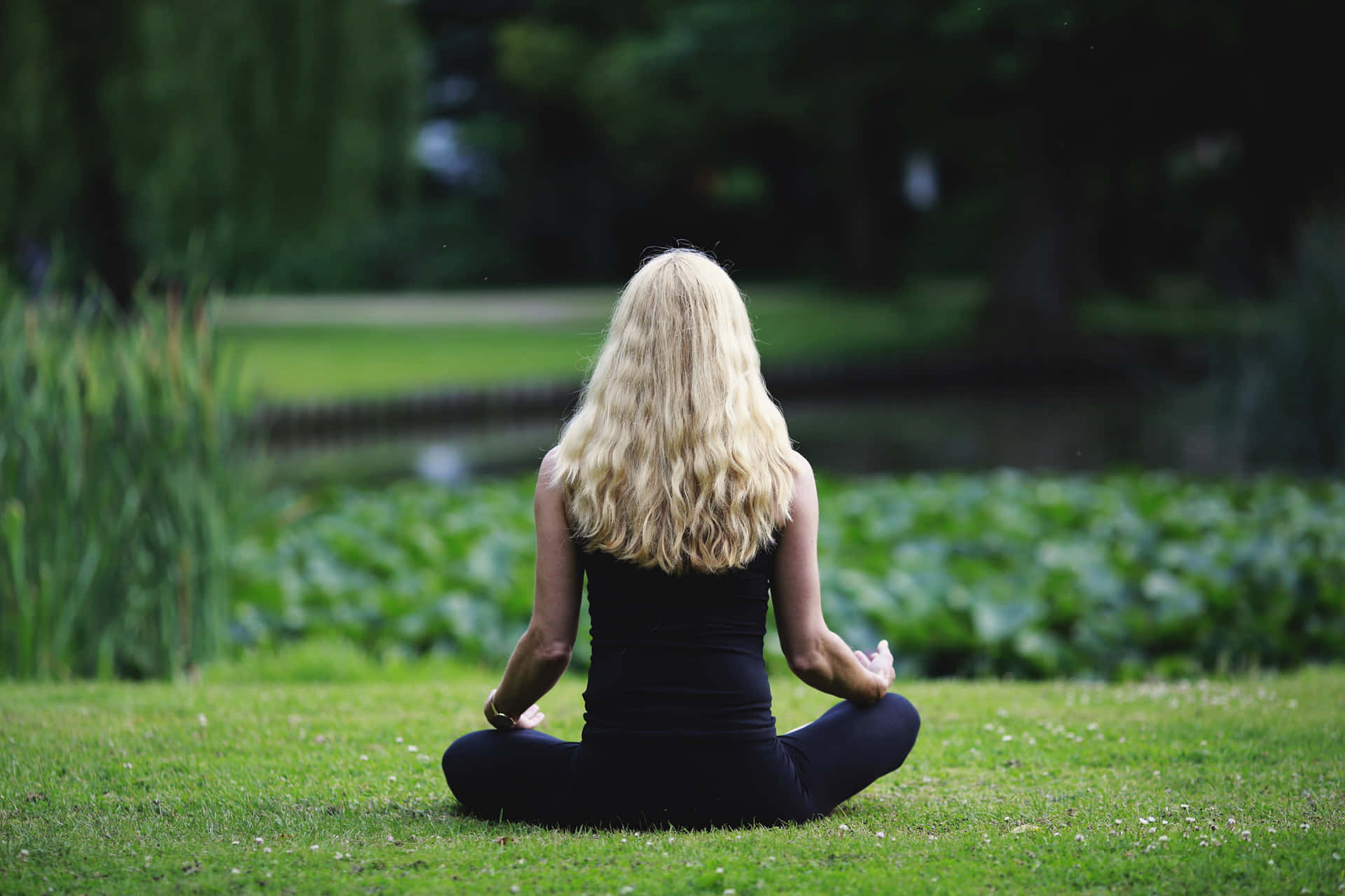 Blondie With Mindfulness Background