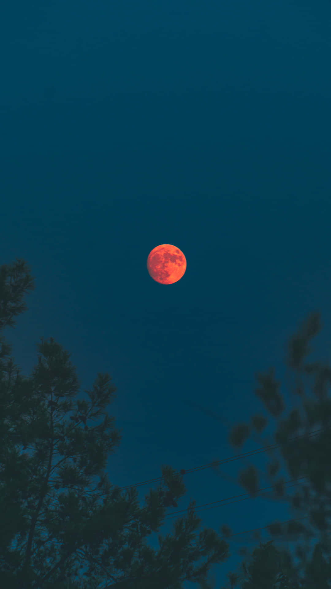Blood Moon Photography Background