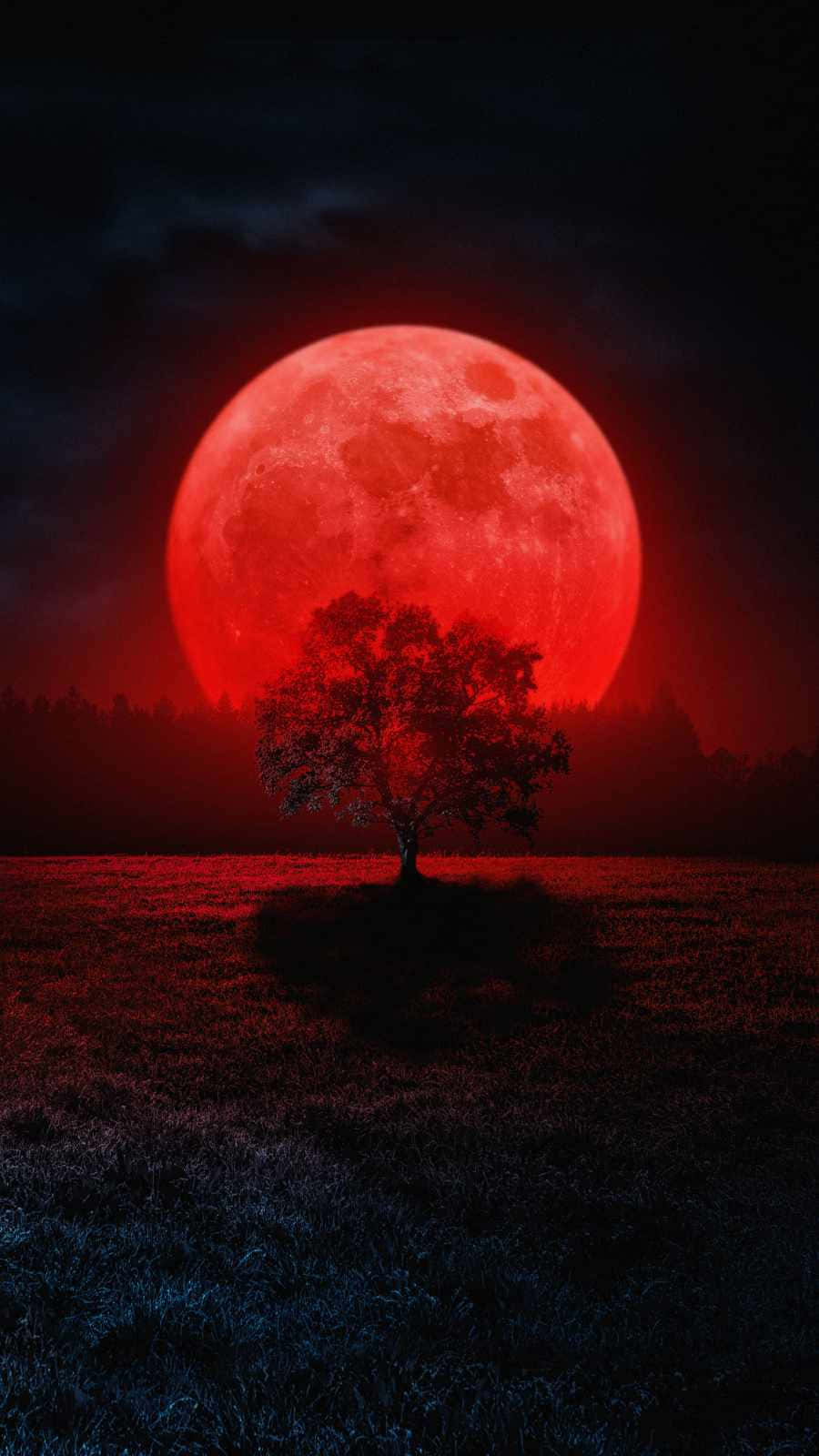 Blood Moon Tree Background