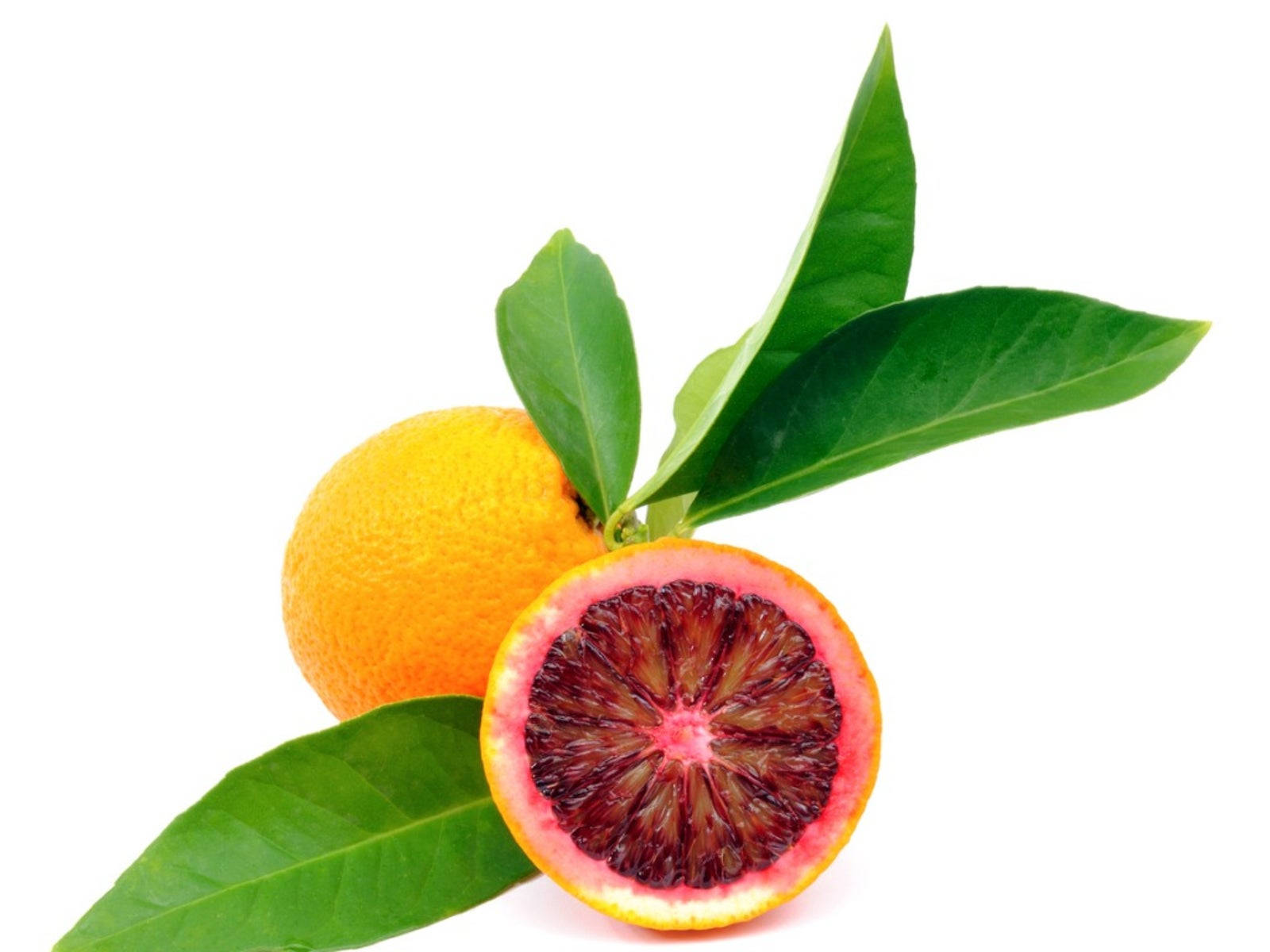 Blood Orange Citrus Fruit Minimalist