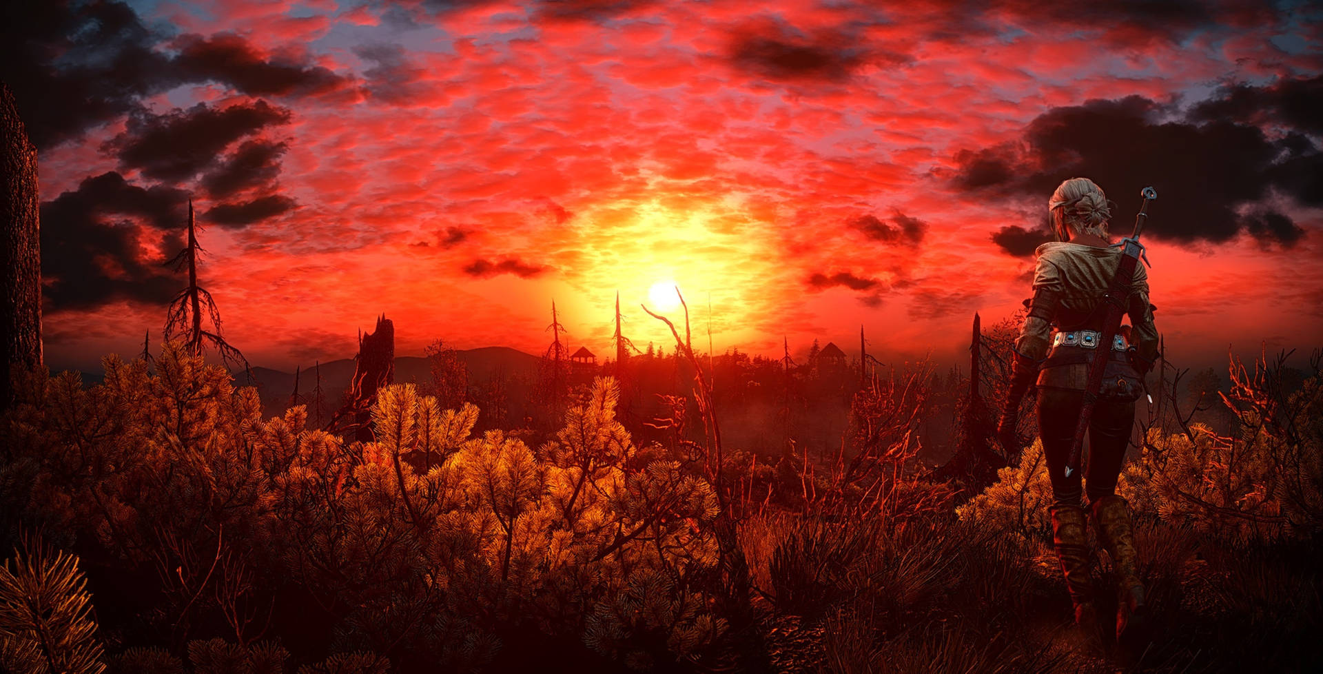 Blood Orange Sunset The Witcher 3 Background