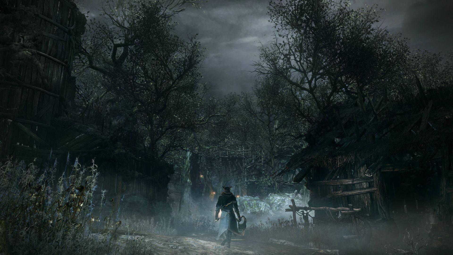 Bloodborne Dark Woods Background