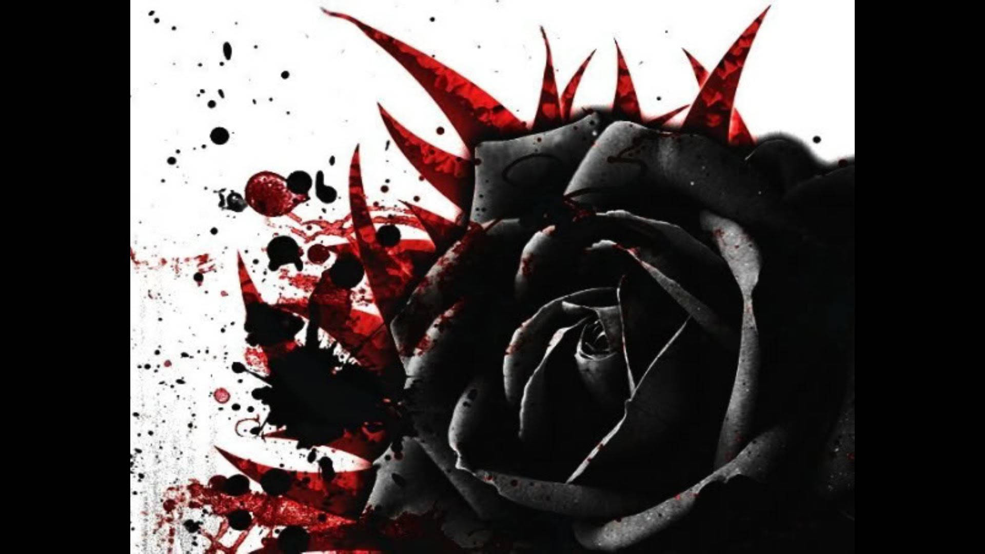 Bloody Black Rose Background