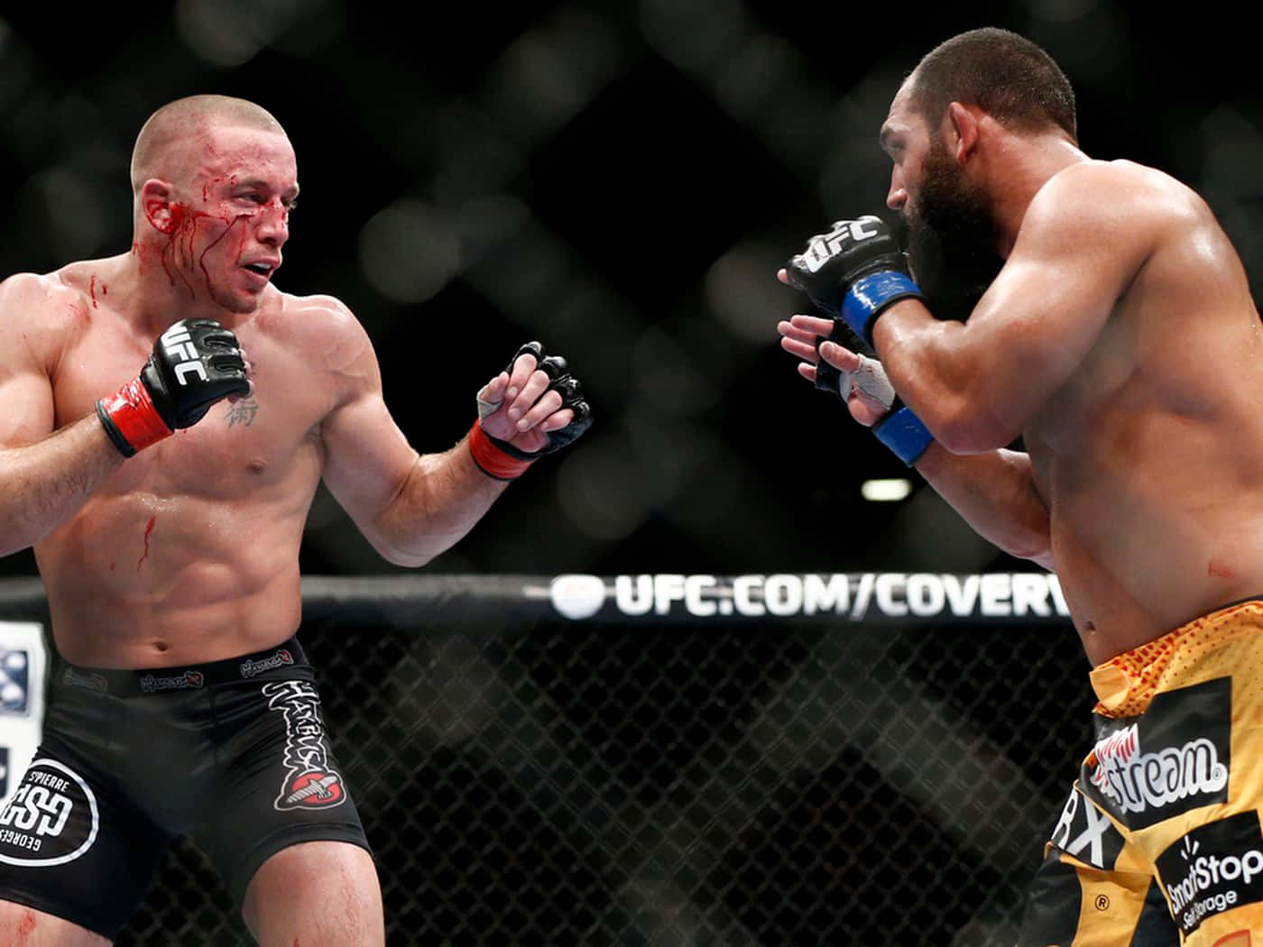 Bloody Georges St-pierre And Johny Hendricks