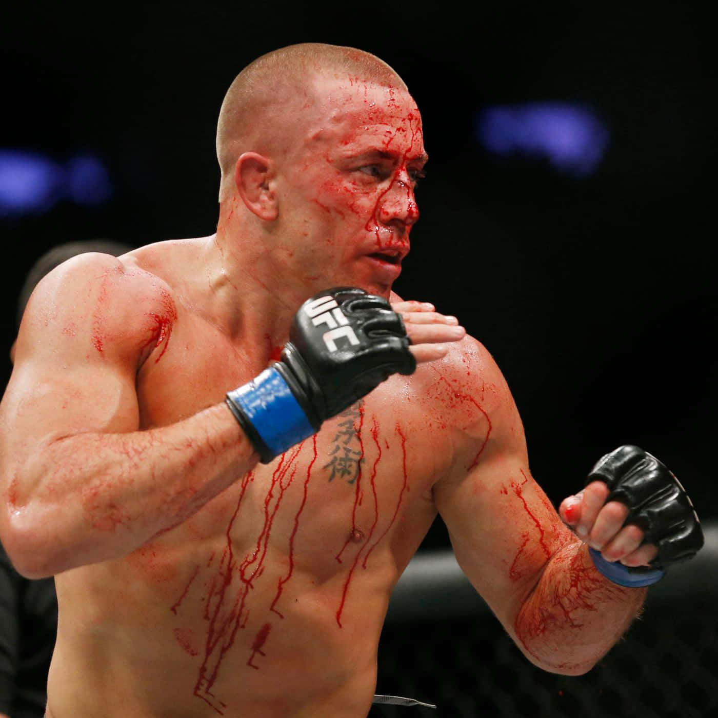 Bloody Georges St-pierre Martial Artist