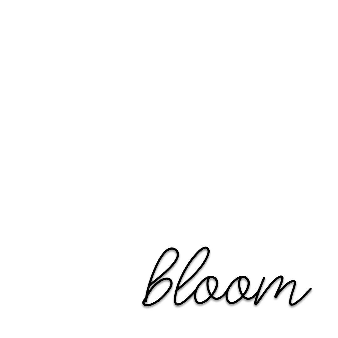 Bloom Cursive Writing Plain White Background