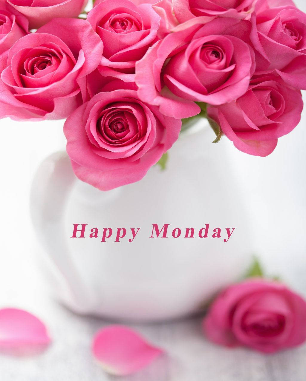 Bloom Towards A Lush Week With Monday Roses Background