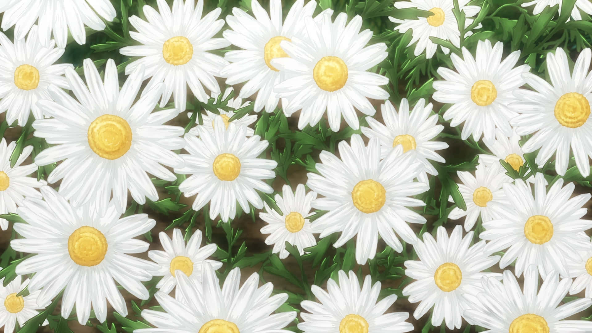 Blooming Beauty Background