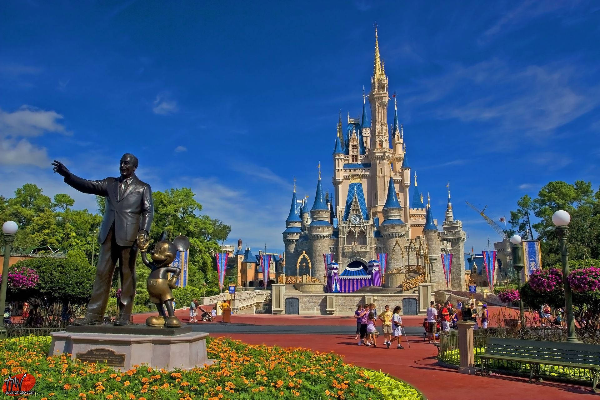 Blooming Flowers At Walt Disney World Desktop Background