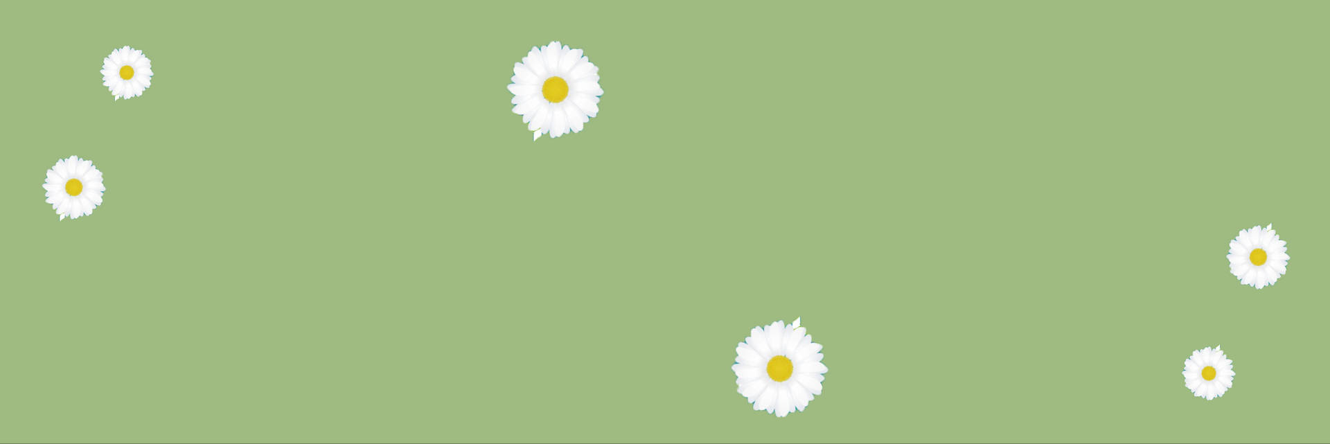 Blooming Inspiration: Minimalist Flower Computer