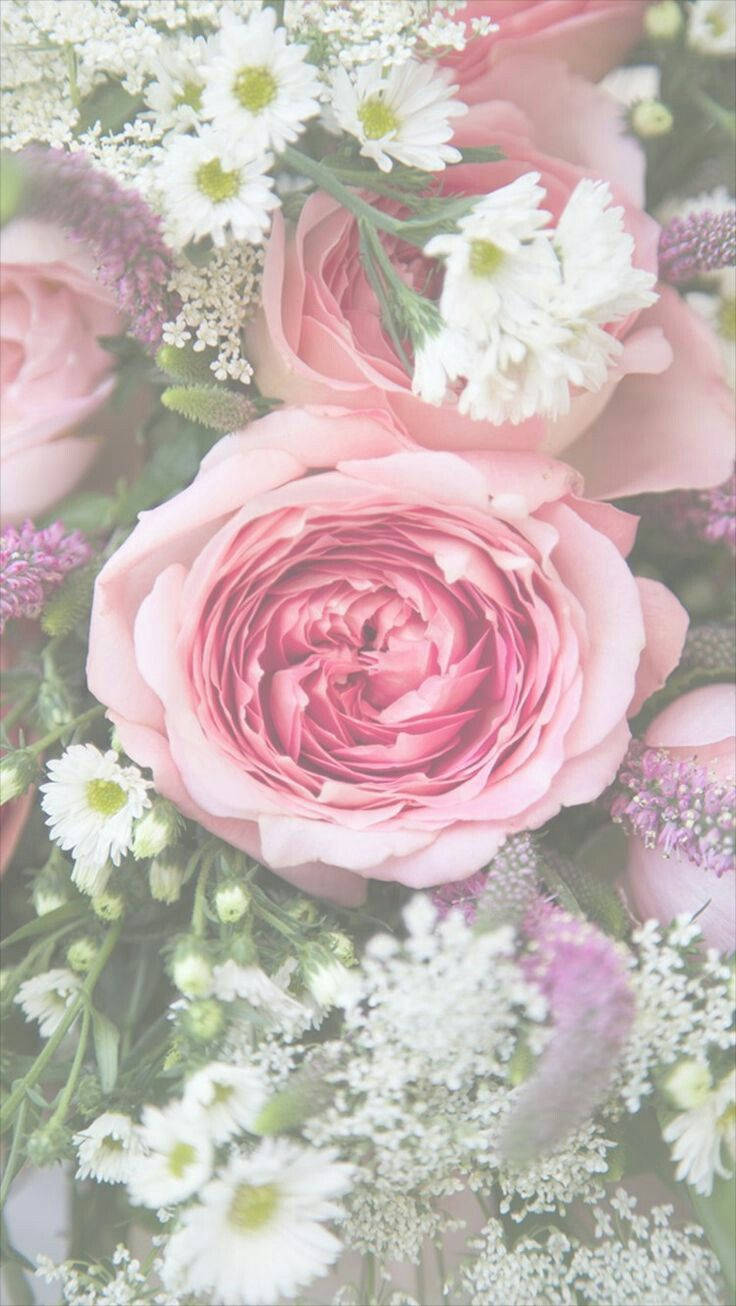 Blooming Pink Floral Iphone Background