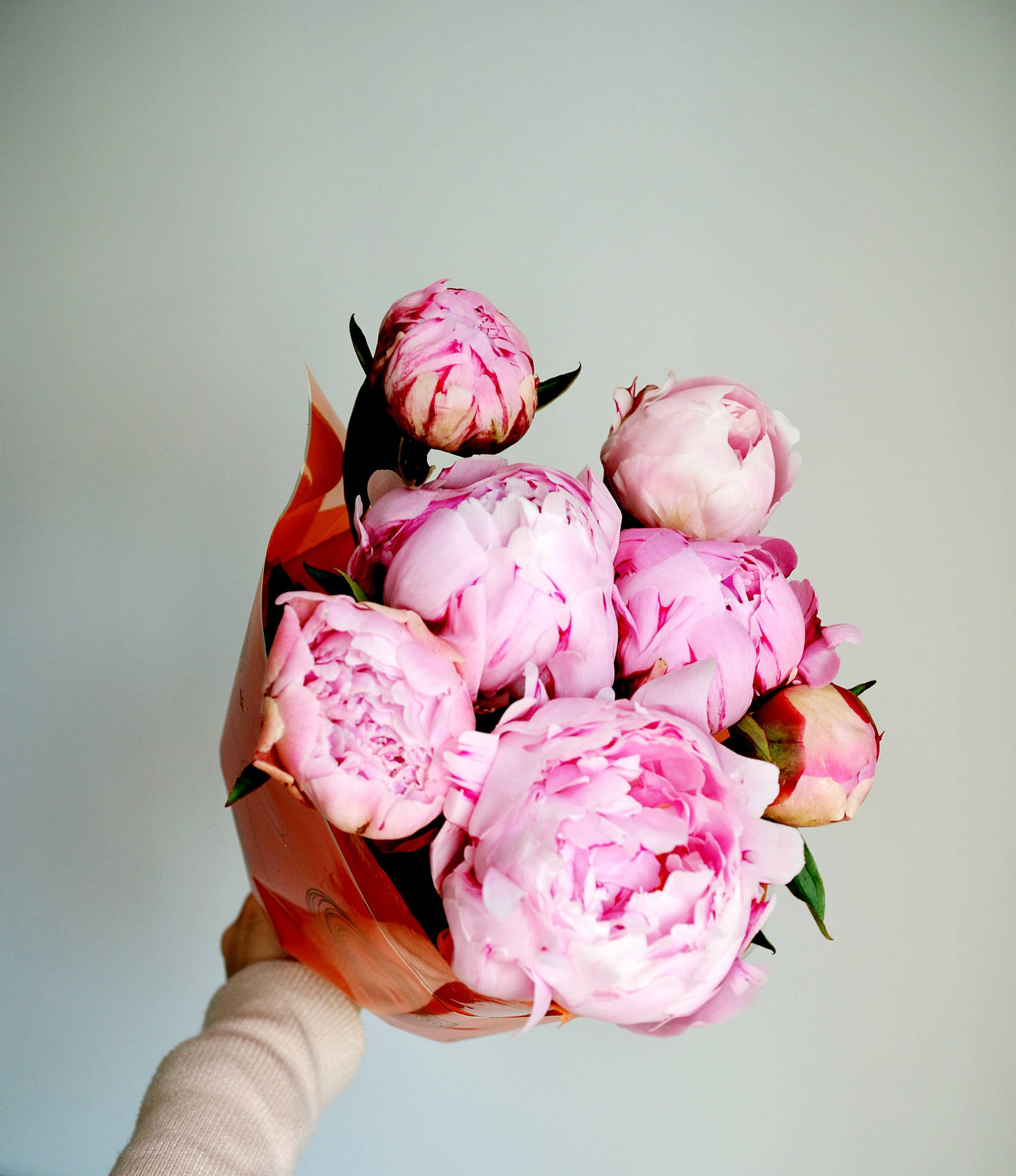 Blooming Pink Peonies Flower Bouquet