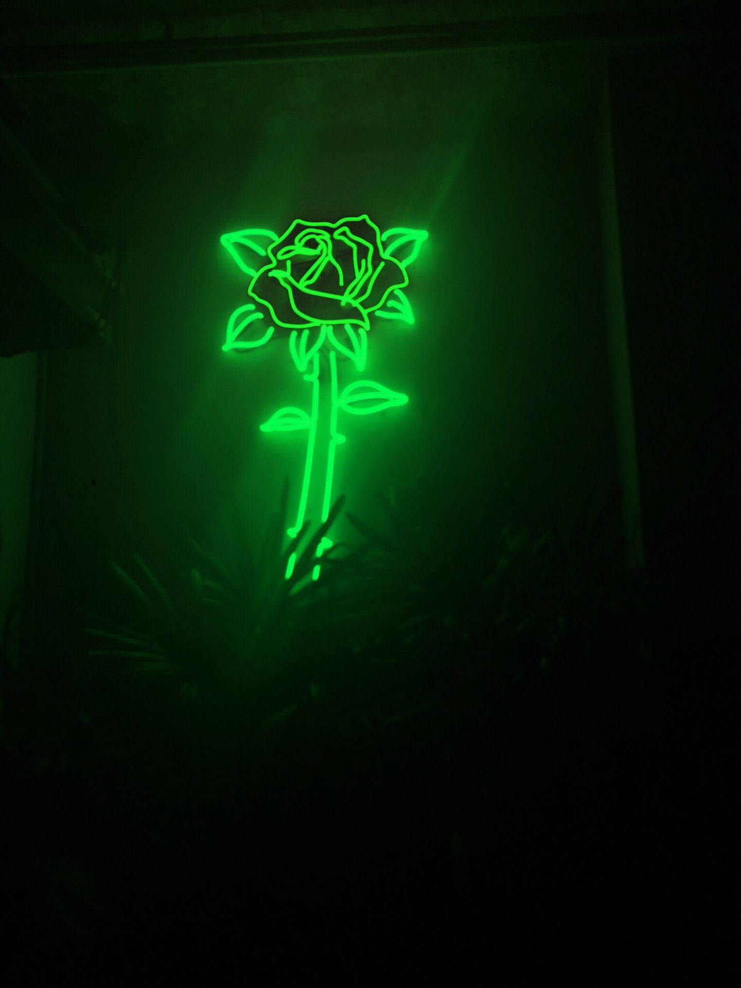 Blooming Rose Neon Green Aesthetic Background
