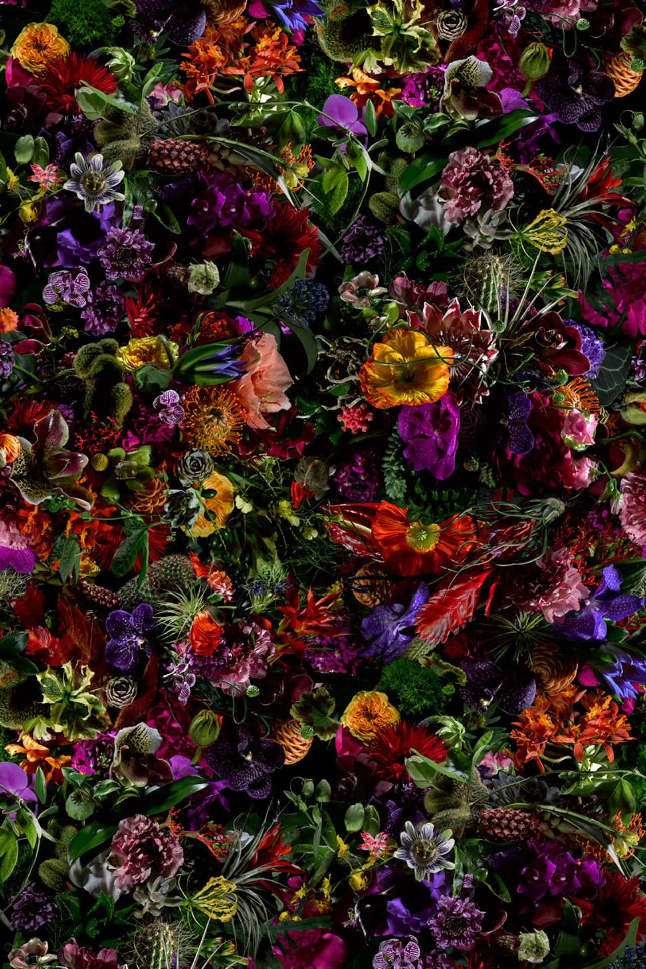 Blooming Vital Flowers In The Heart Of Nature Background