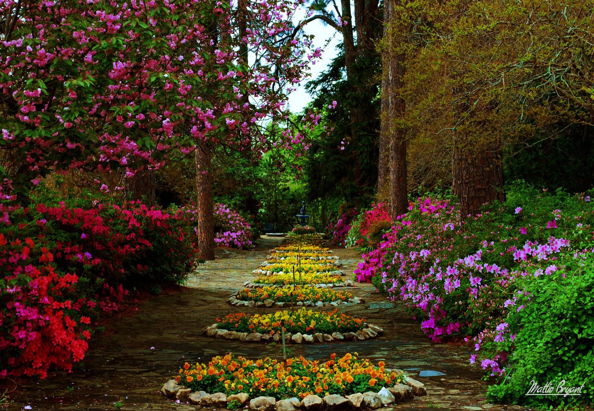 Blossom Circle: An Intricate Flower Garden Background