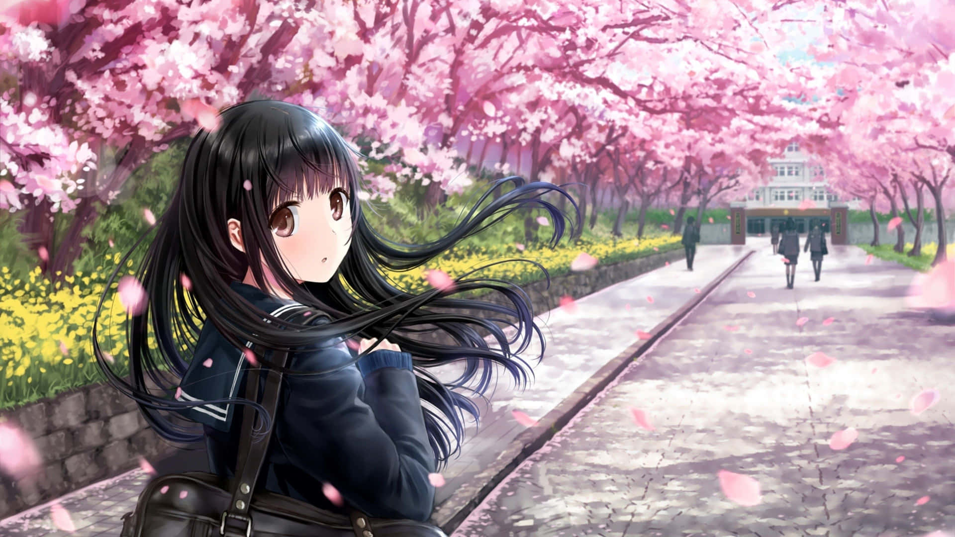Blossoming Dream