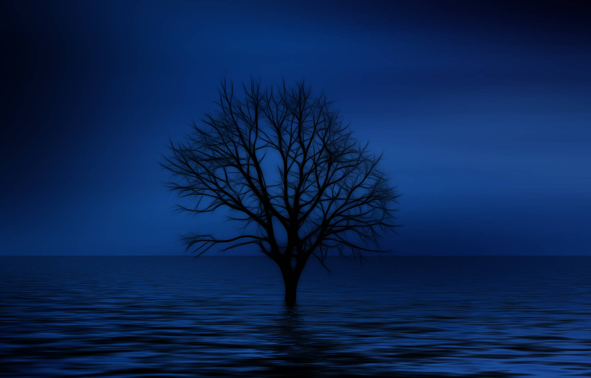 Blue 4k Lonely Tree Background
