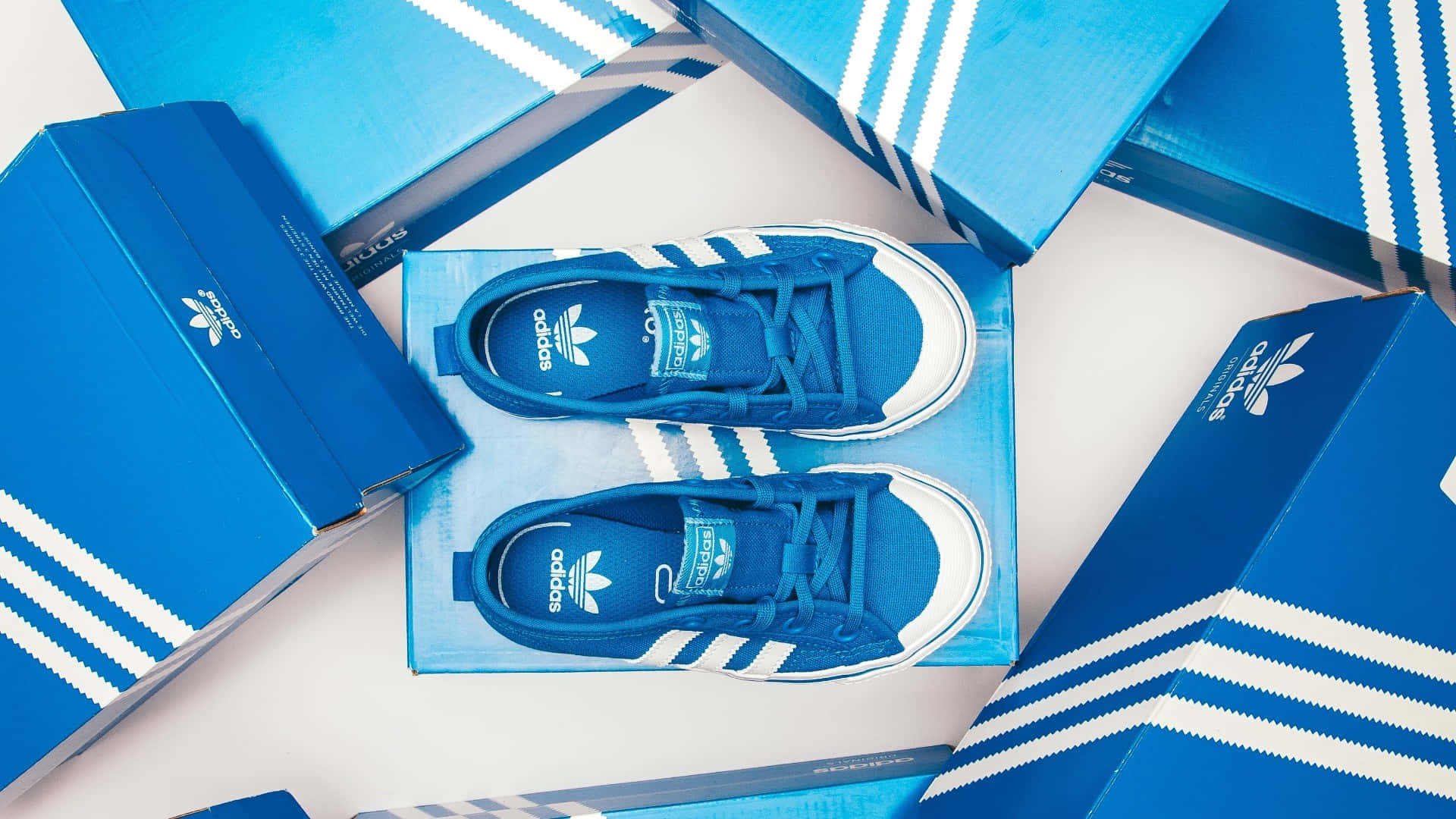 Blue Adidas Sneakers Brand Showcase