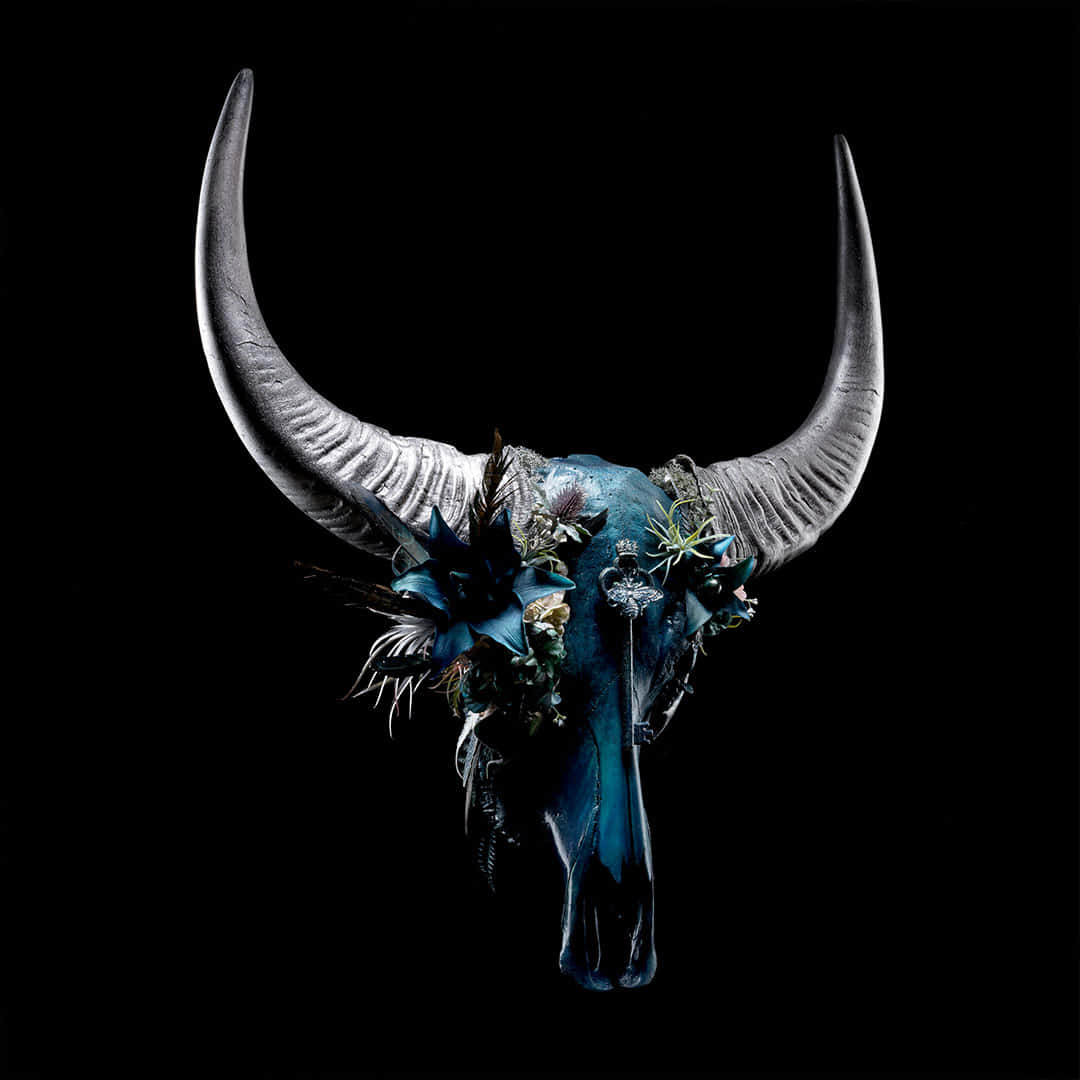 Blue Aesthetic Bull Skull Background