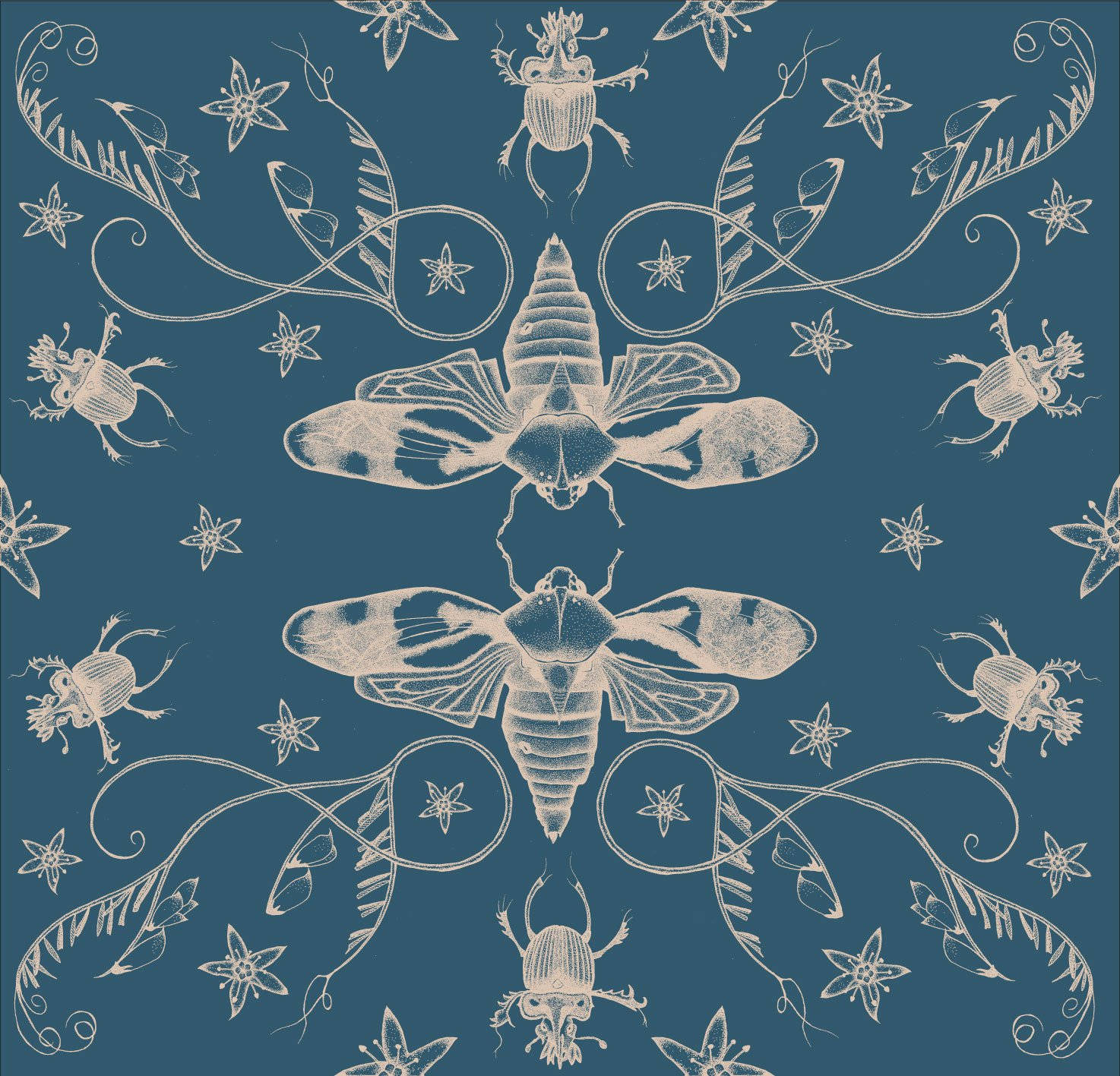 Blue Aesthetic Cicada Background